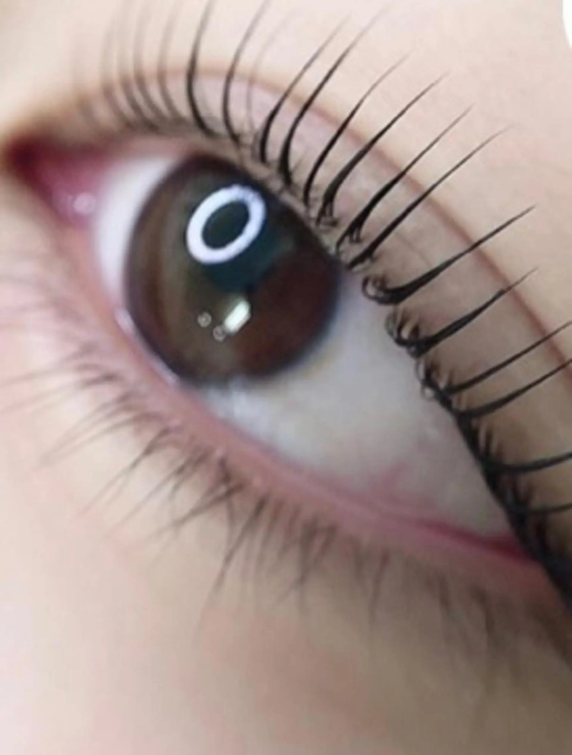 マツエク・マツパ salon  de  cils所属・salon de cilsのマツエク・マツパデザイン