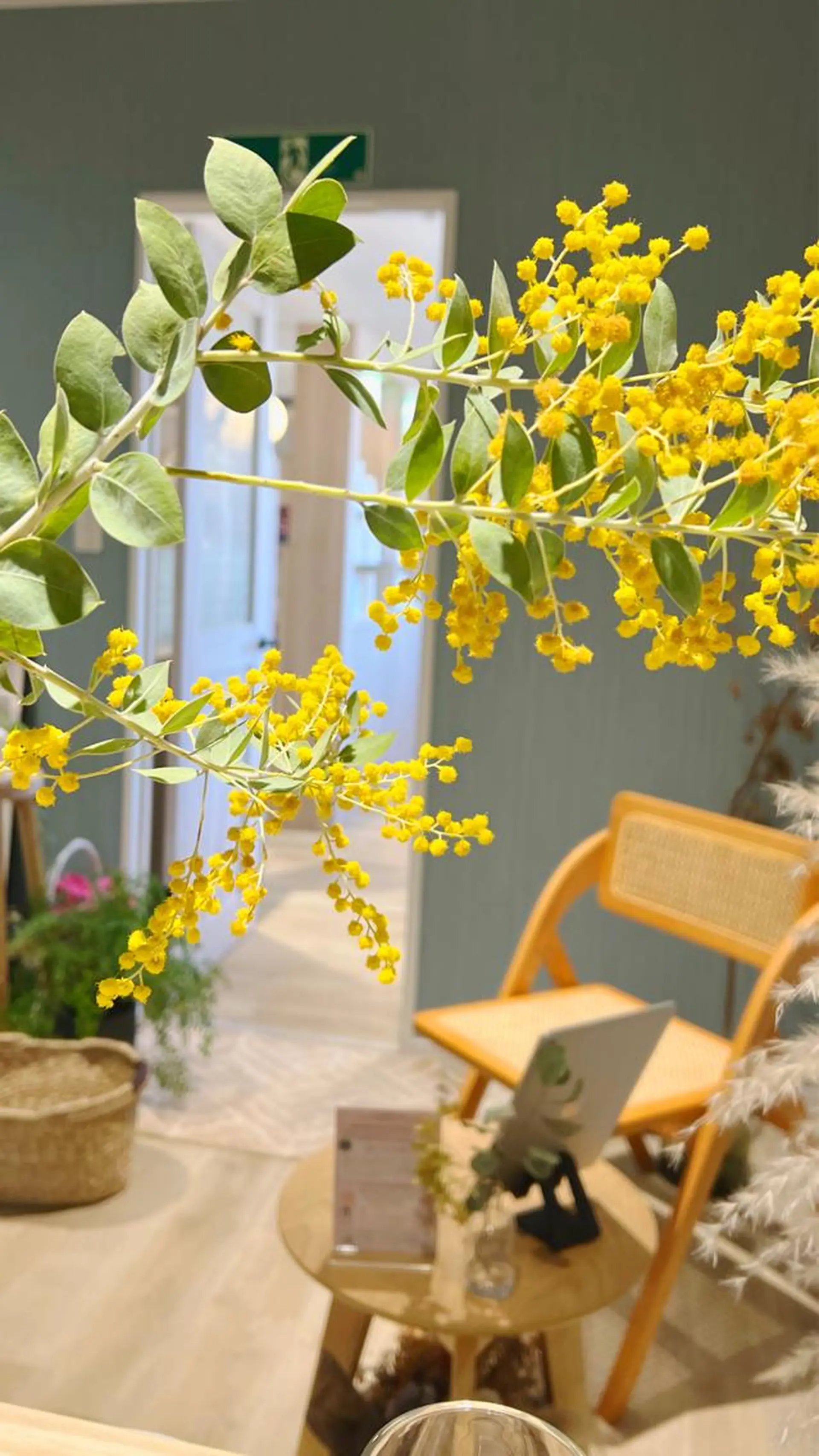 cielo　チェーロ所属・cielo Juriのエステ・リラクイメージ