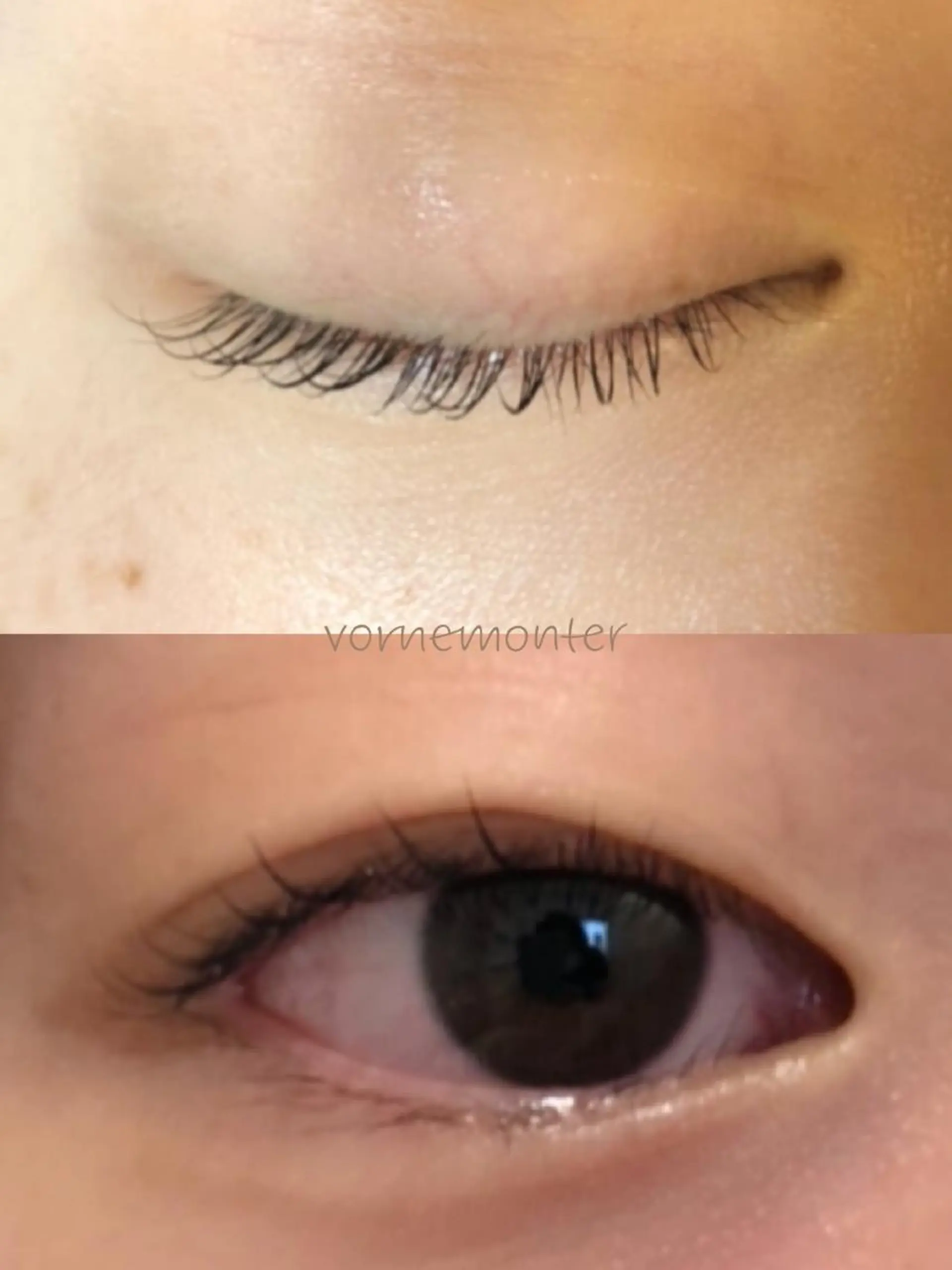 マツエク・マツパ ケラチンラッシュリフト Vorne Monterのマツエク・マツパデザイン