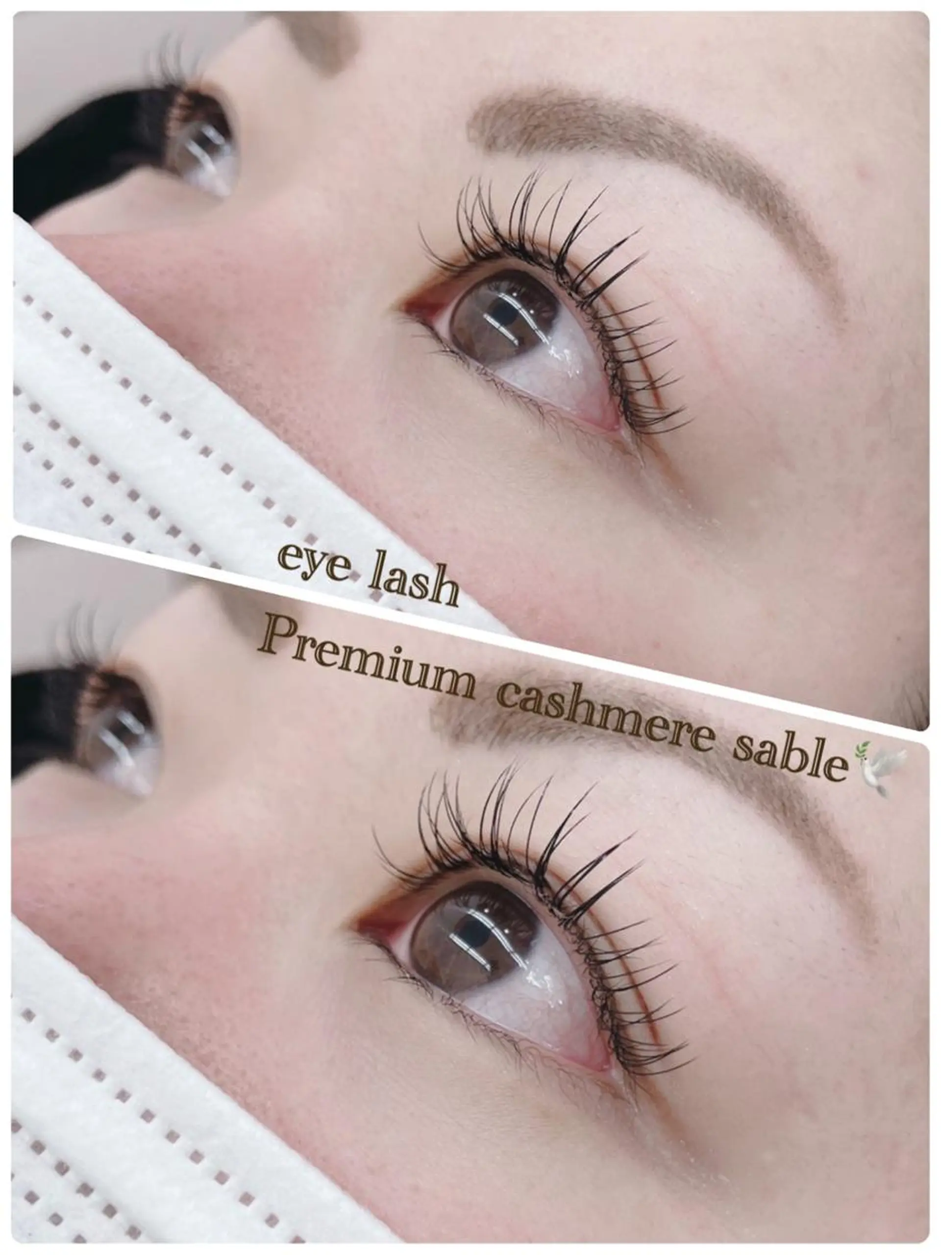 マツエク・マツパ Cカール セーブル WE RULE 札幌店 【ウィールール 札幌店】所属・✨️大人ショート 髙橋朋花のヘアスタイル