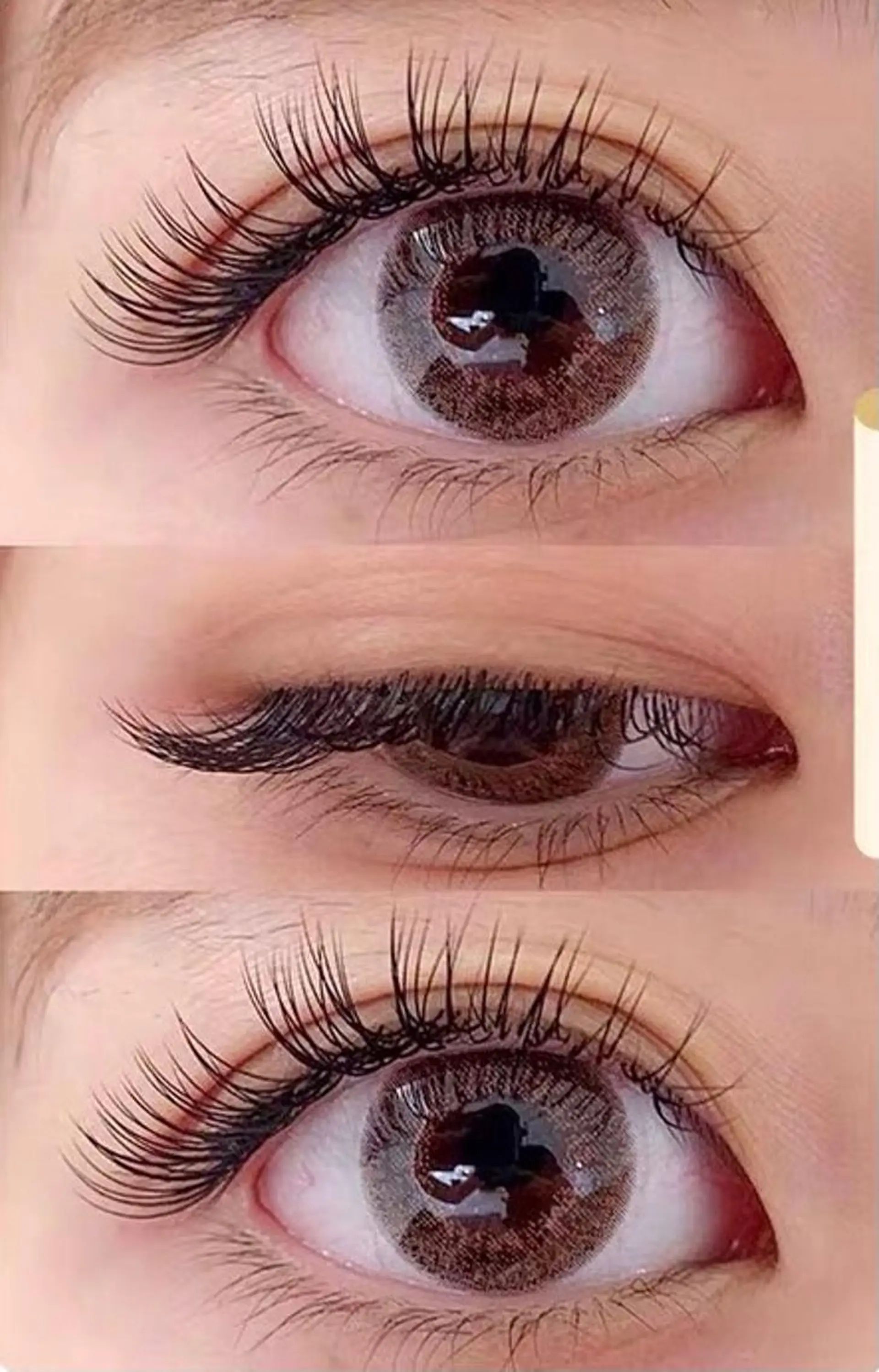 マツエク・マツパ Livnus リブナスのマツエク・マツパデザイン