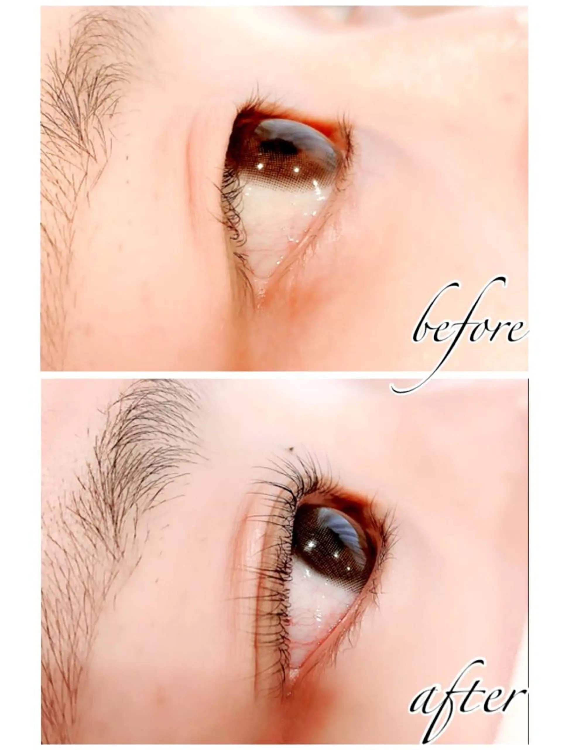 マツエク・マツパ マツパ Licola リコラのヘアスタイル