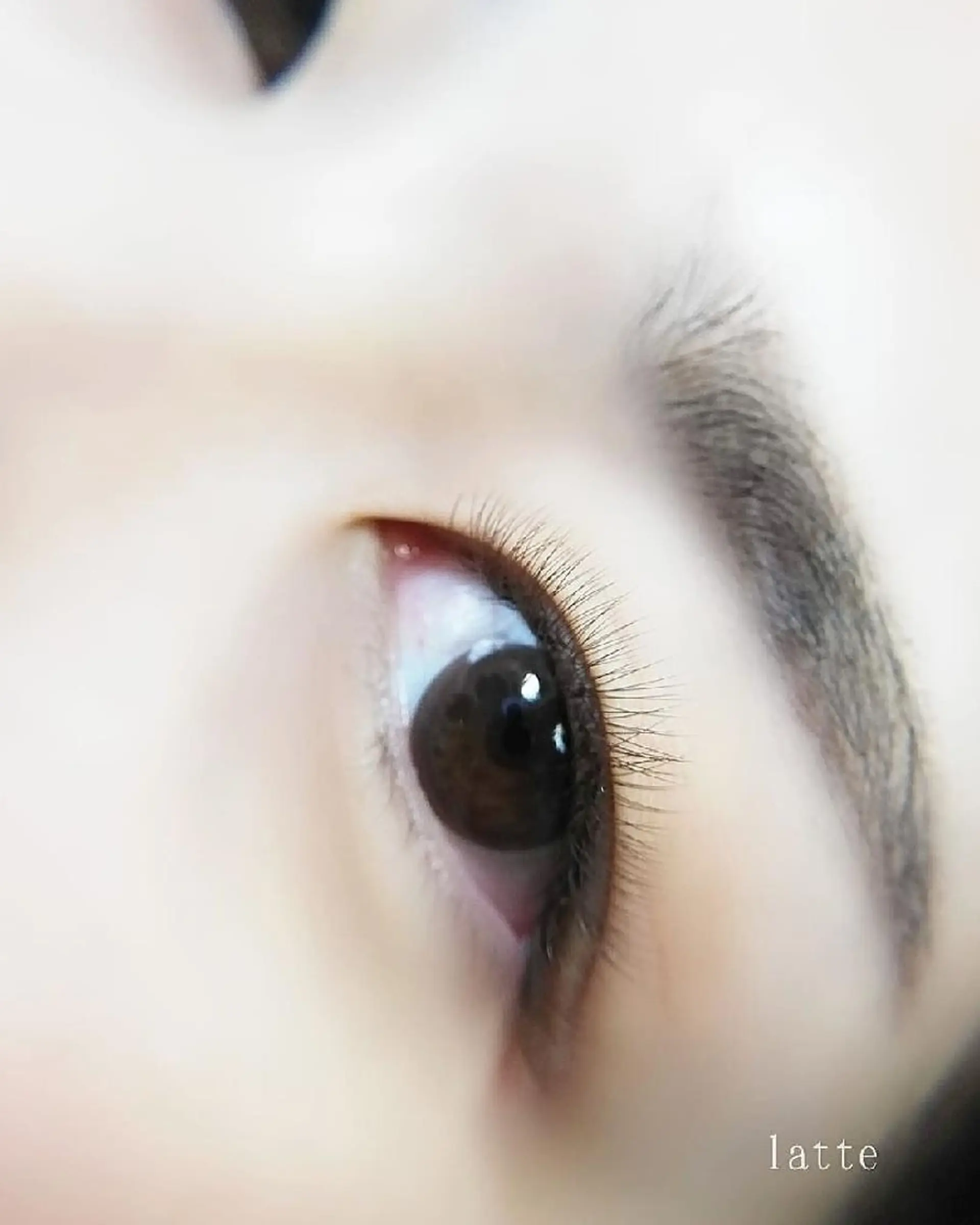 マツエク・マツパ カラーマツエク ボリュームラッシュ LATTE eyelashのマツエク・マツパデザイン