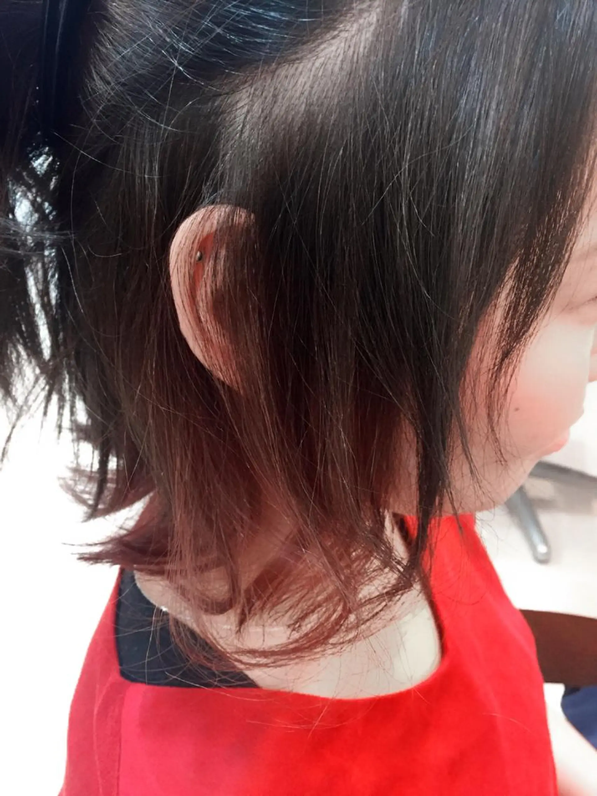 ミディアム カラー アッシュ ブリーチ ブルーカラー ブルーアッシュ インナーカラー 🌙似合わせ🐈‍⬛ ケア✨又吉のヘアスタイル
