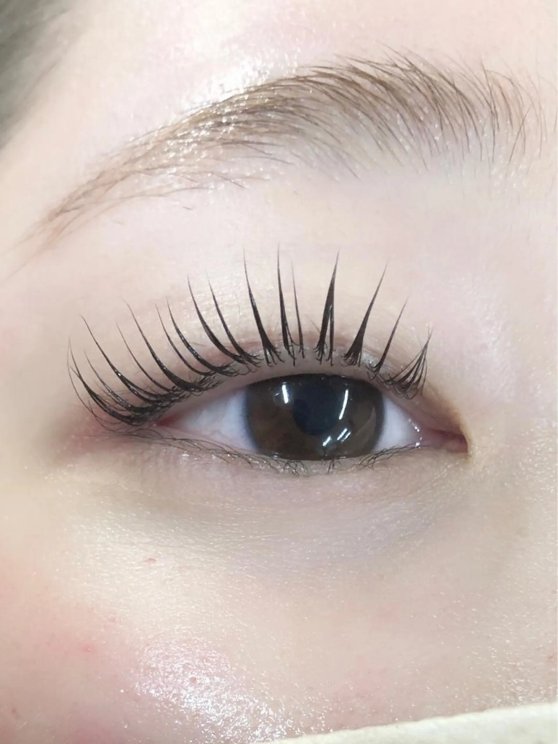 マツエク・マツパ ケラチンラッシュリフト Lカール マツパ more 伊東萌香のマツエク・マツパデザイン