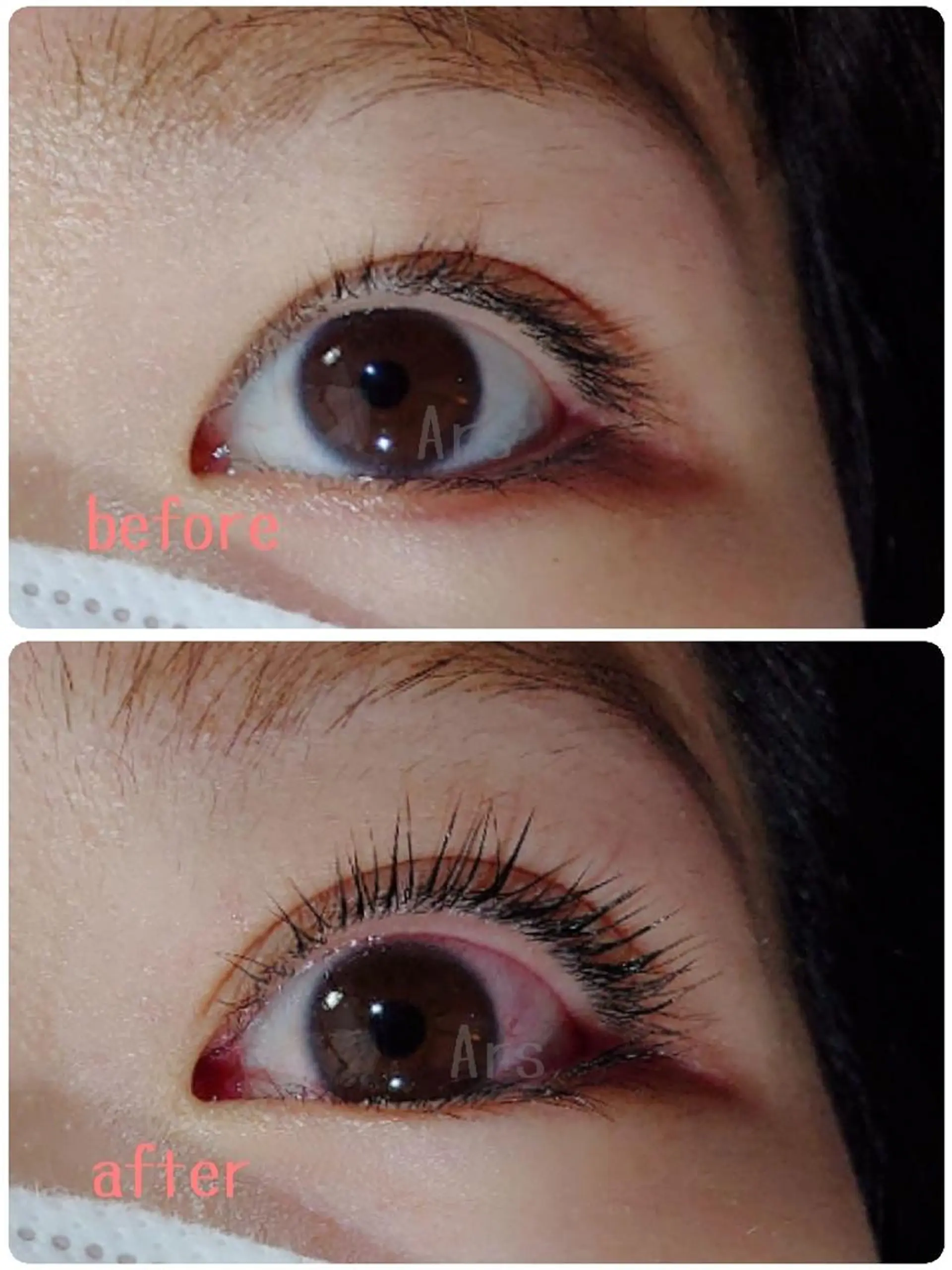 マツエク・マツパ アイリッドアップパーマ Ars      (ｱﾙｽ)のマツエク・マツパデザイン