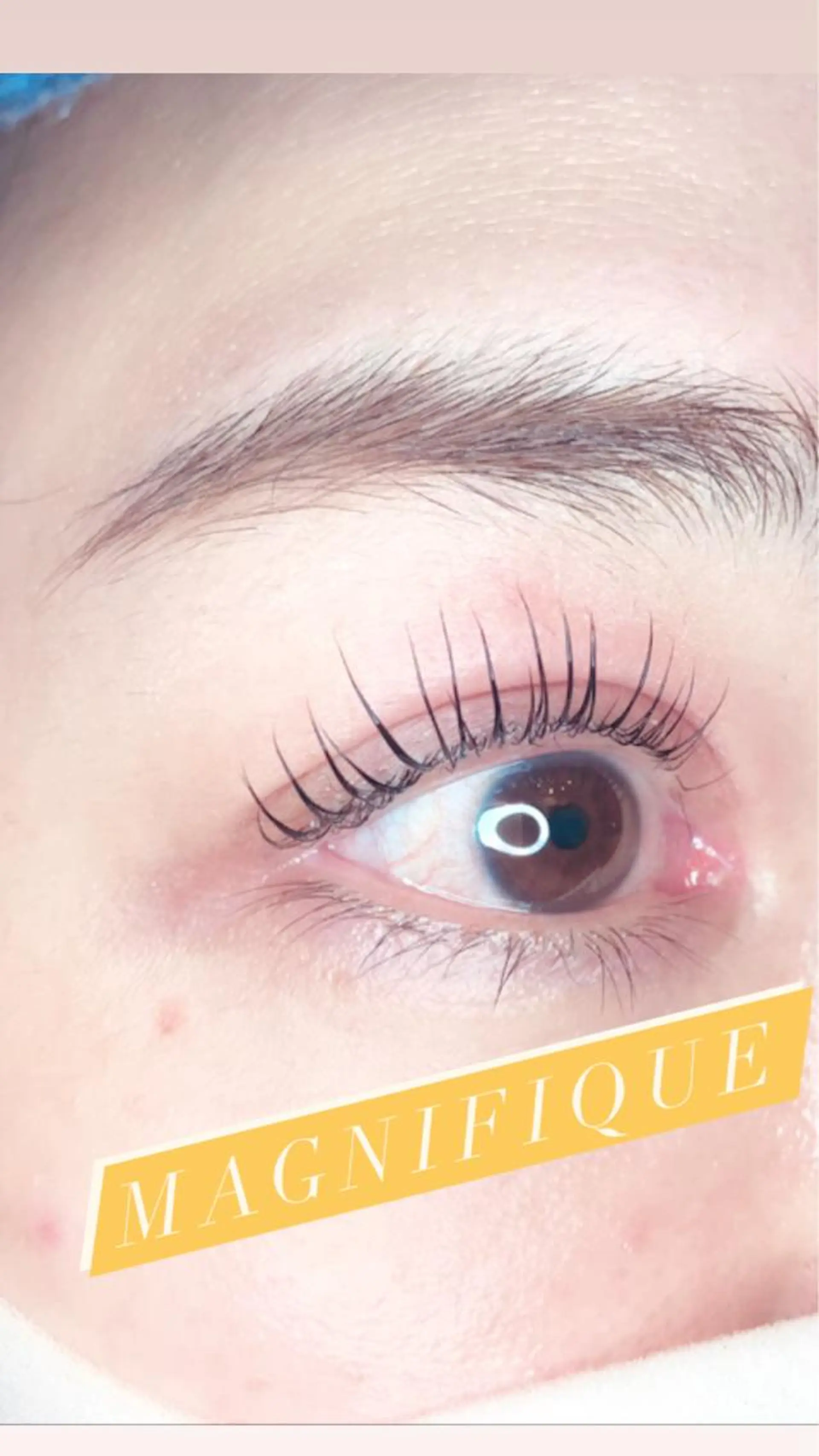 マツエク・マツパ Magnifique MAIのマツエク・マツパデザイン