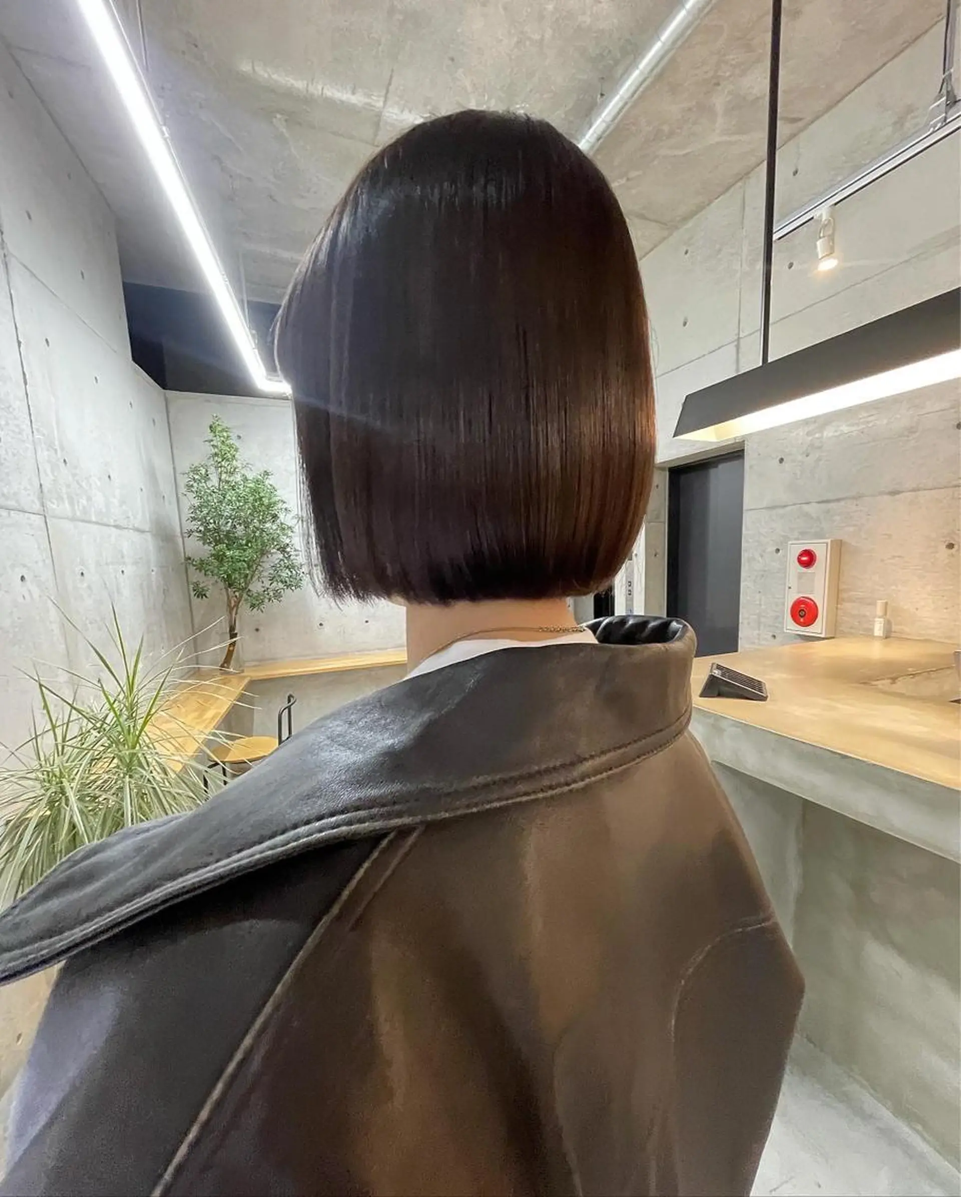 縮毛矯正 トリートメント 葉 /レイヤーカットのヘアスタイル