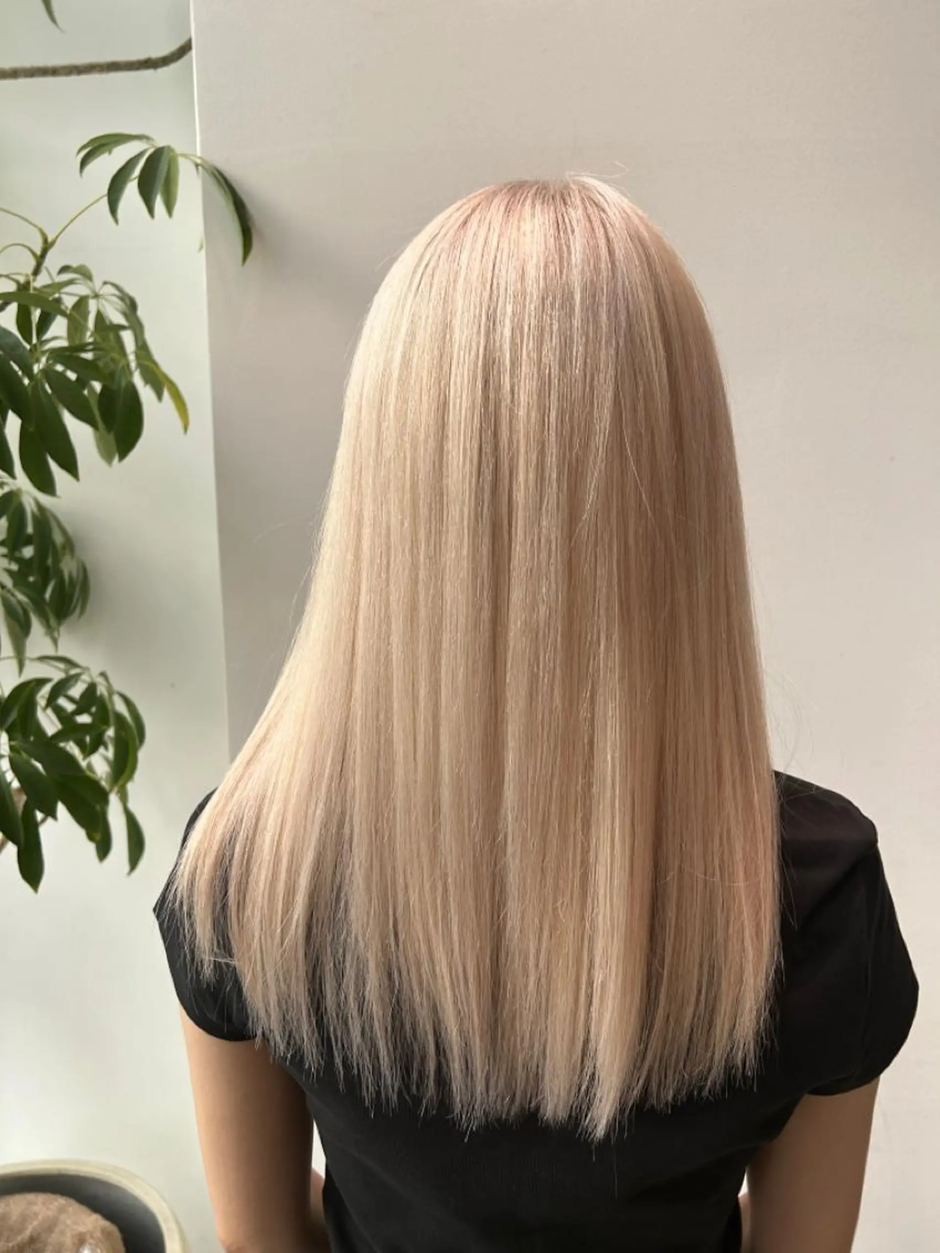 セミロング 銀座/韓国レイヤー/ 艶カラー🍓原田侑依のヘアスタイル