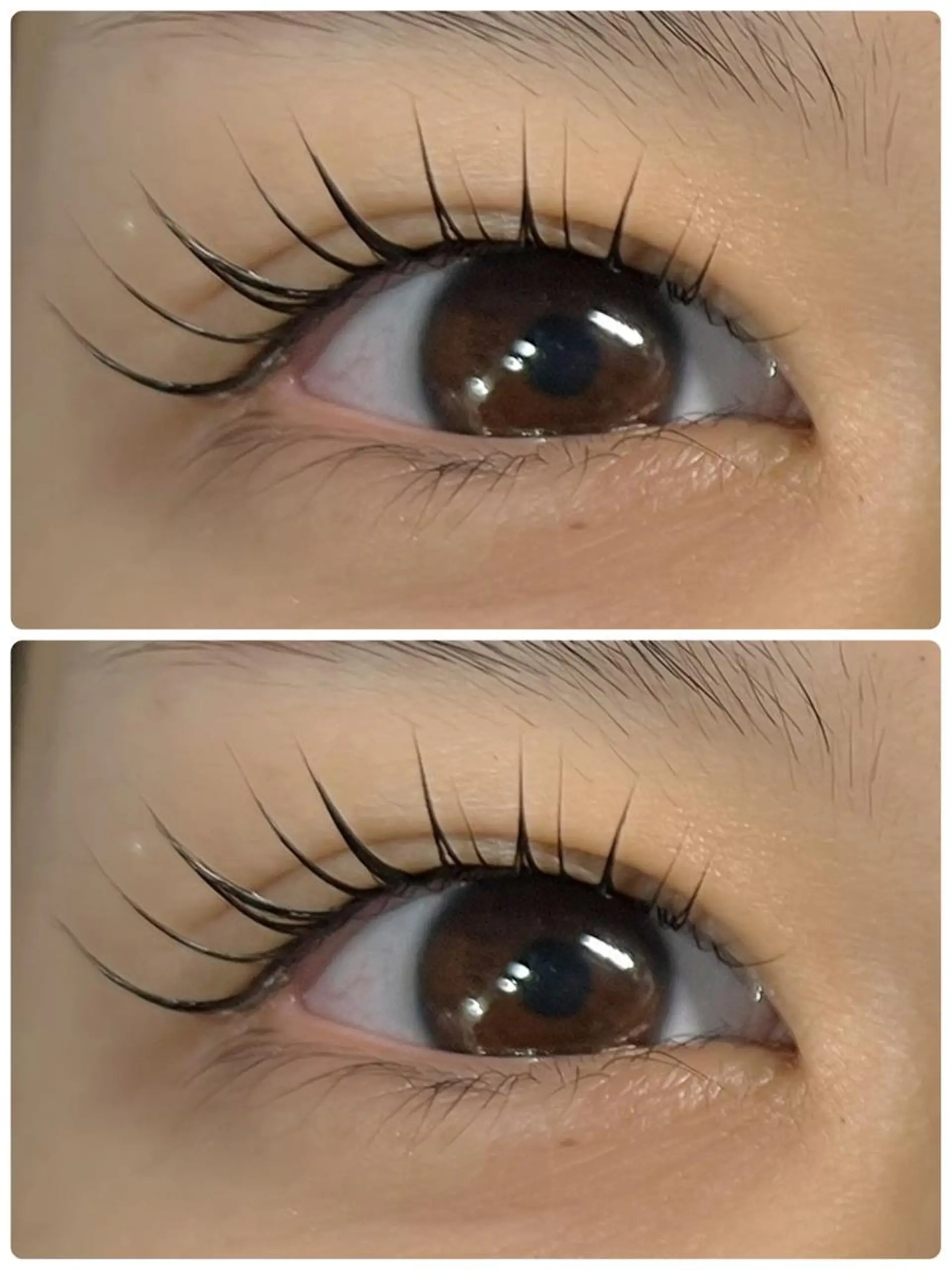 マツエク・マツパ マツパ◎LED マツエク,モチ◎のマツエク・マツパデザイン