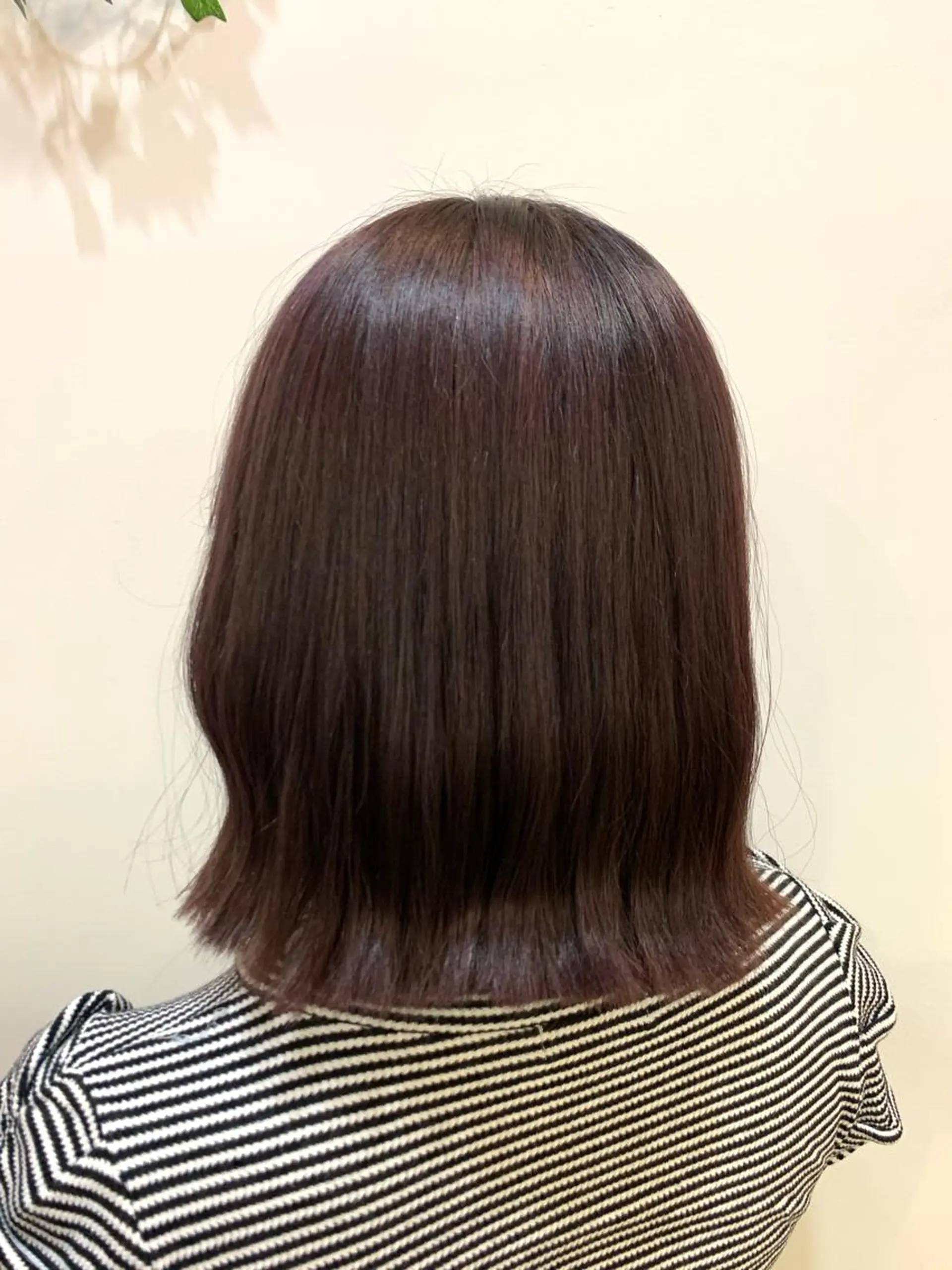 ミディアム パープルカラー 🫧うる艶ナチュラル Ayana🫧のヘアスタイル