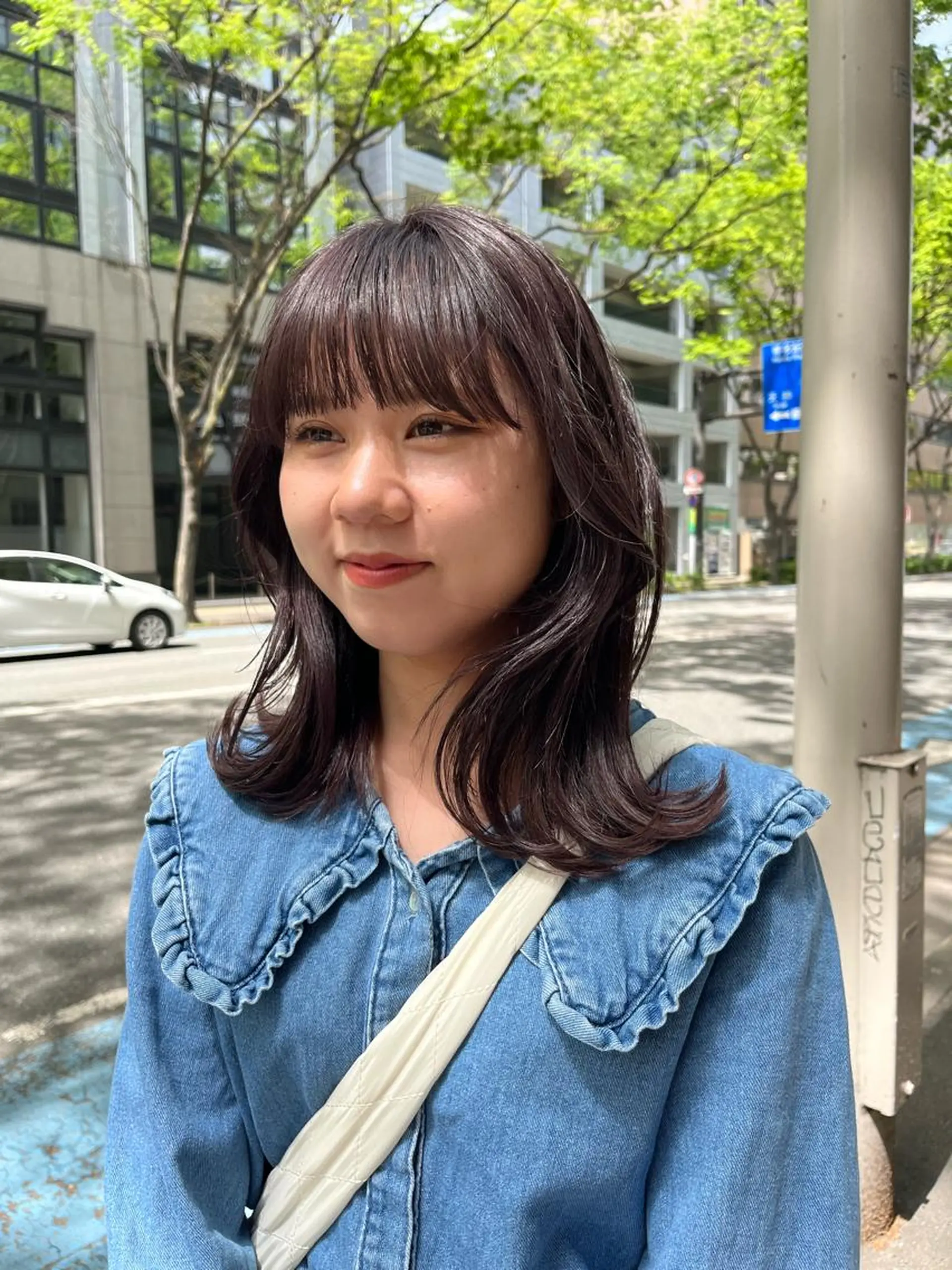 カラー グレージュ ラベンダーカラー ラベンダーグレージュ ラベンダーグレー ヘアカラー トリートメント こまつばらみお/レイ ヤー/ダブルカラーのヘアスタイル