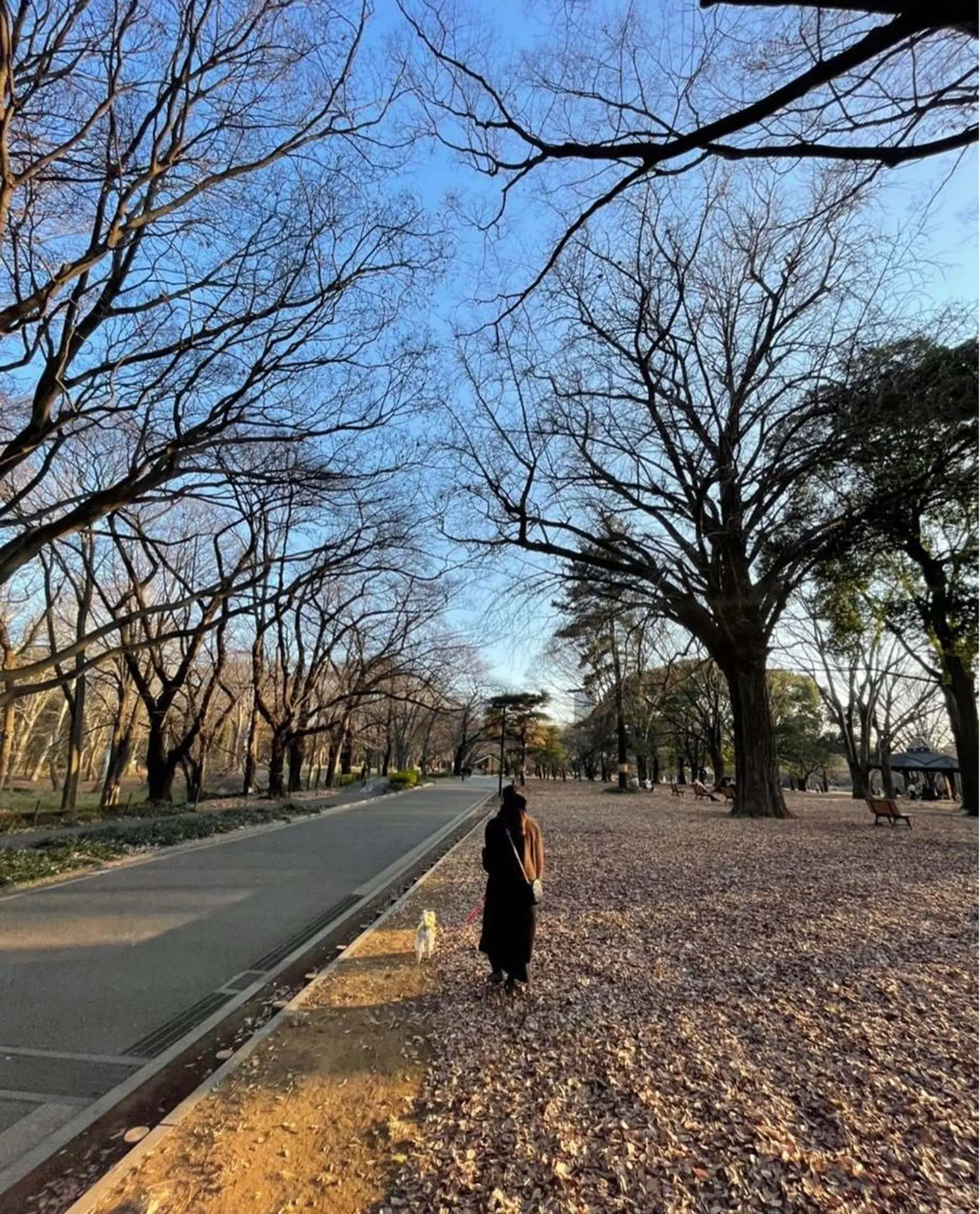 セミロング カラー パーマ ヘアアレンジ メンズ キッズ stylist 🎀 kanaのその他イメージ
