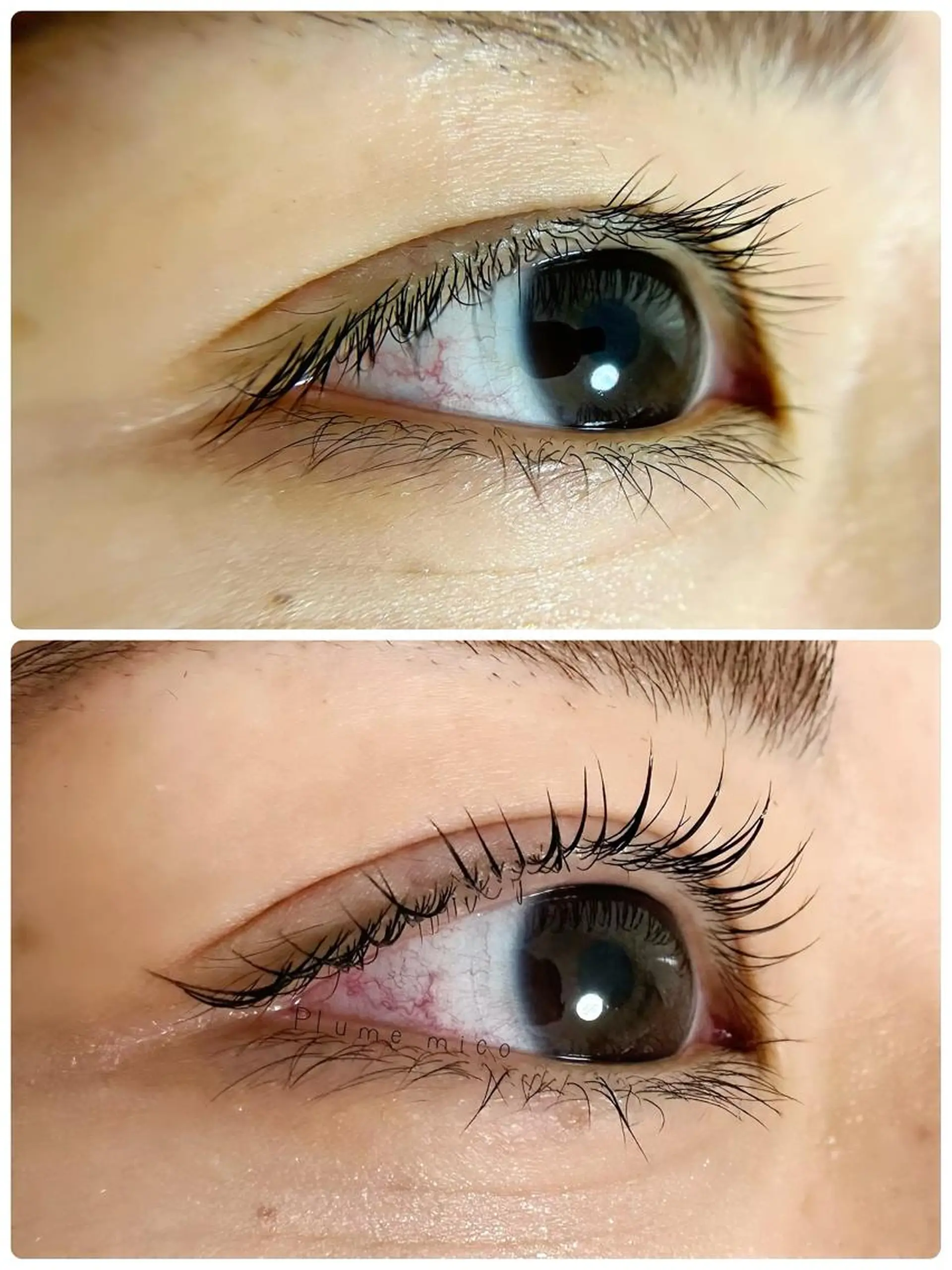 マツエク・マツパ カラーマツエク マツパ Plume micoのマツエク・マツパデザイン