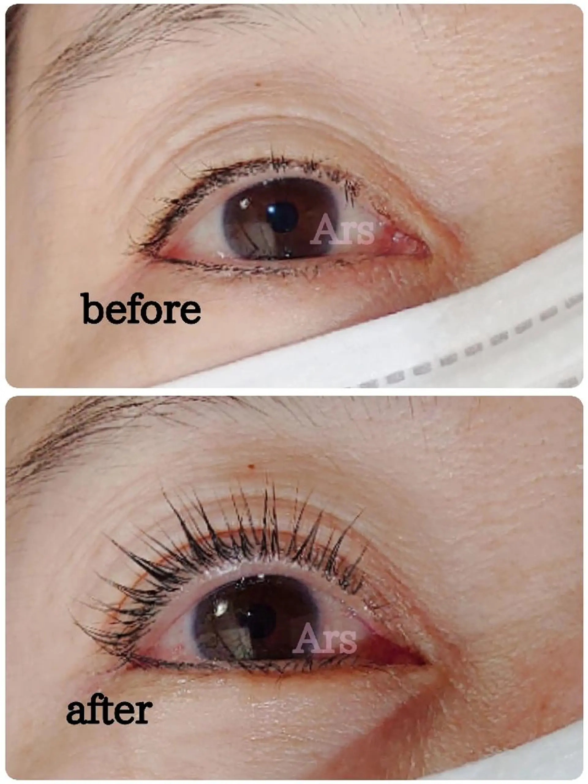 マツエク・マツパ アイリッドアップパーマ Ars (アルス)所属・Ars (アルス)のマツエク・マツパデザイン