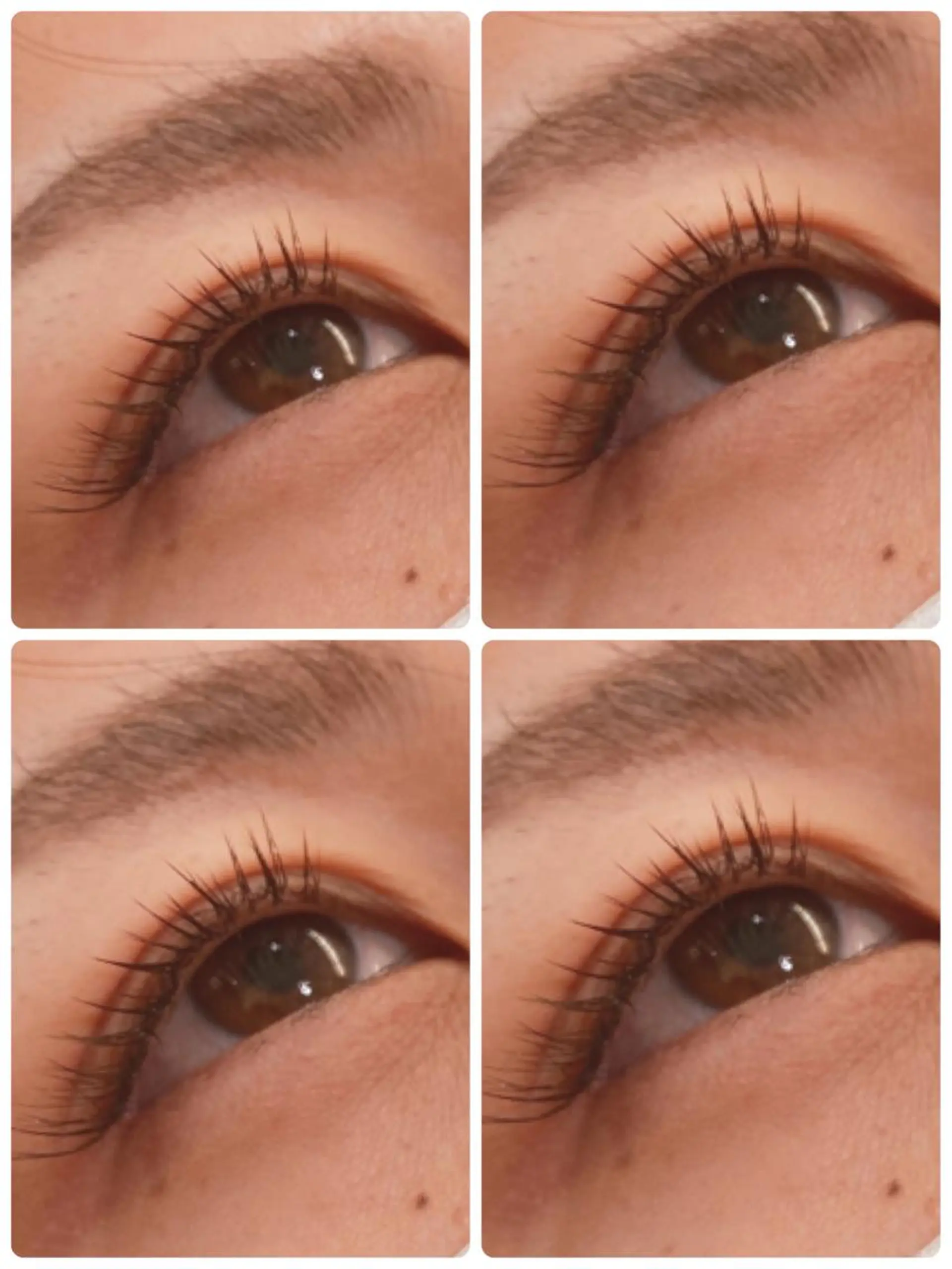 マツエク・マツパ 🌿レイヤー/ブリー チ/🌿‬JINのヘアスタイル