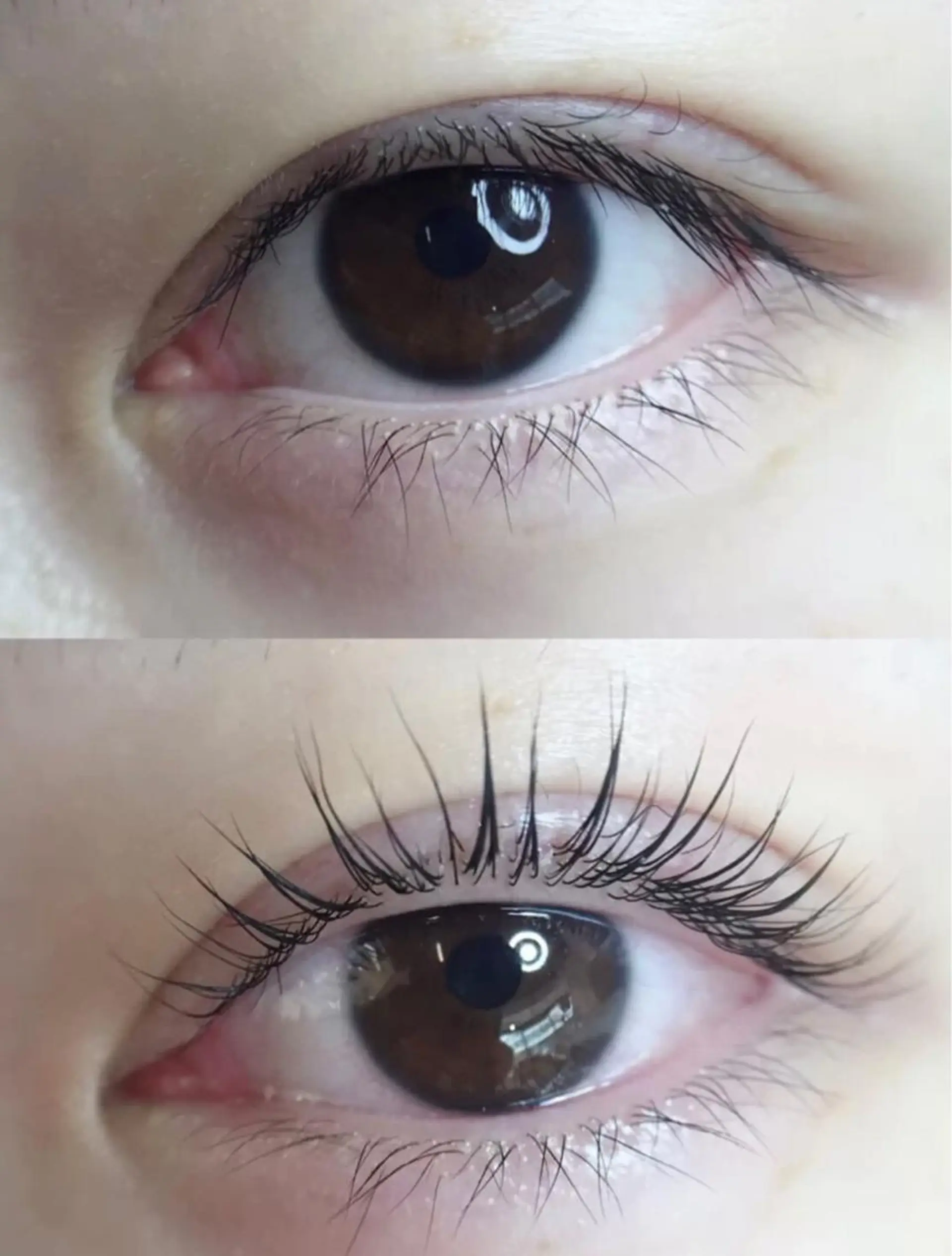 マツエク・マツパ ネイル＆マツゲ crebiaのマツエク・マツパデザイン