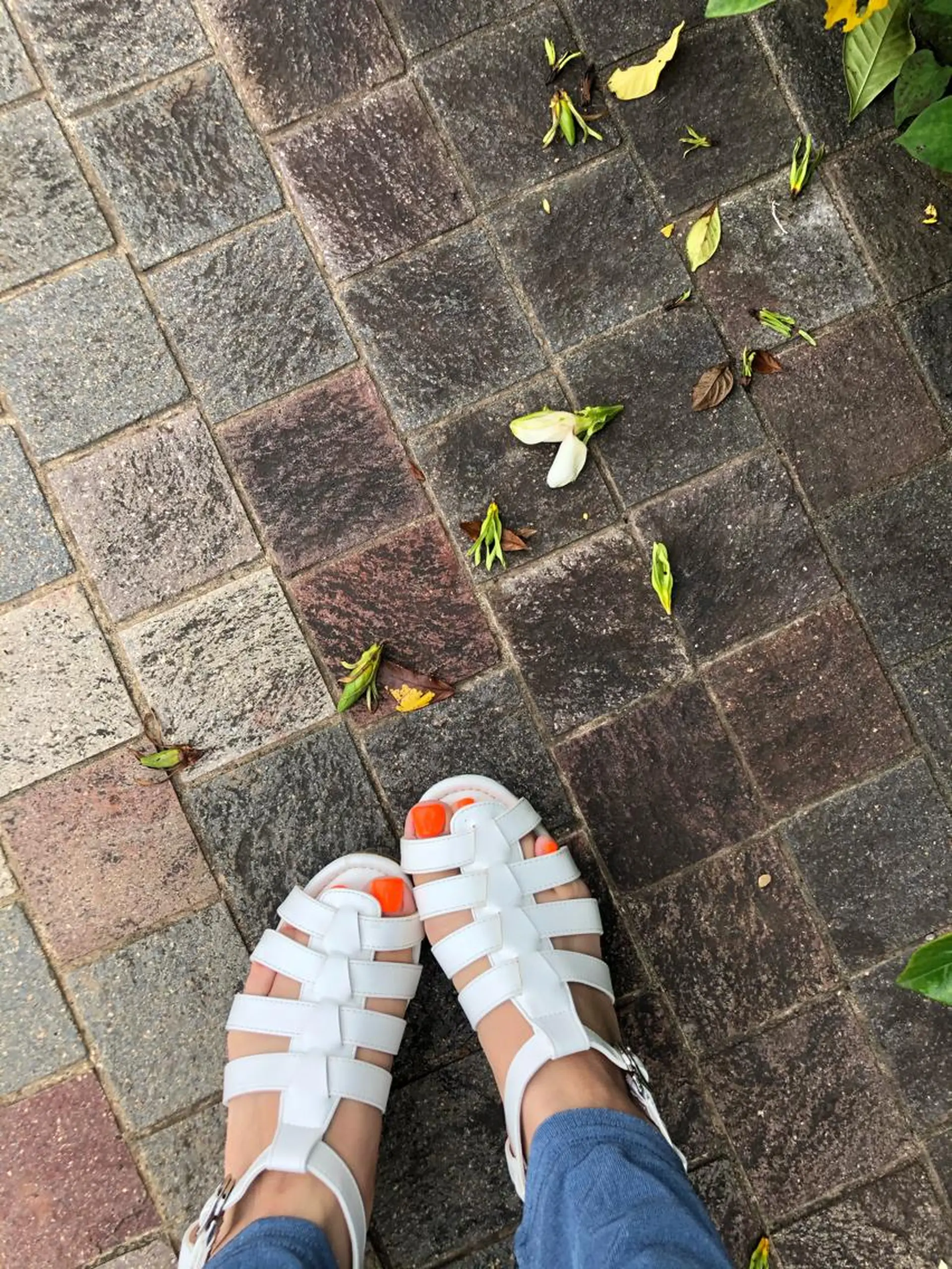 ネイル オレンジ 眉サロン KE. 船橋日大前駅徒歩1分の眉毛・アイブロウイメージ