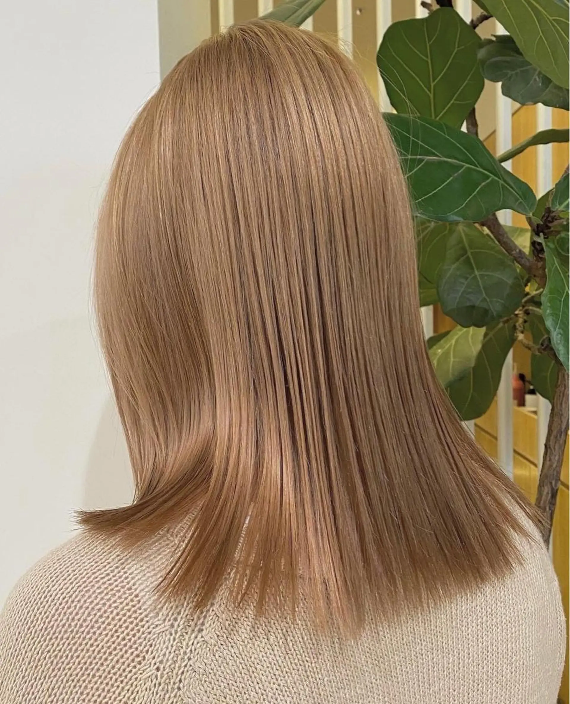 セミロング カラー パーマ ヘアアレンジ メンズ キッズ ネイル マツエク・マツパ カット ヘアカラー モリモト サナのヘアスタイル