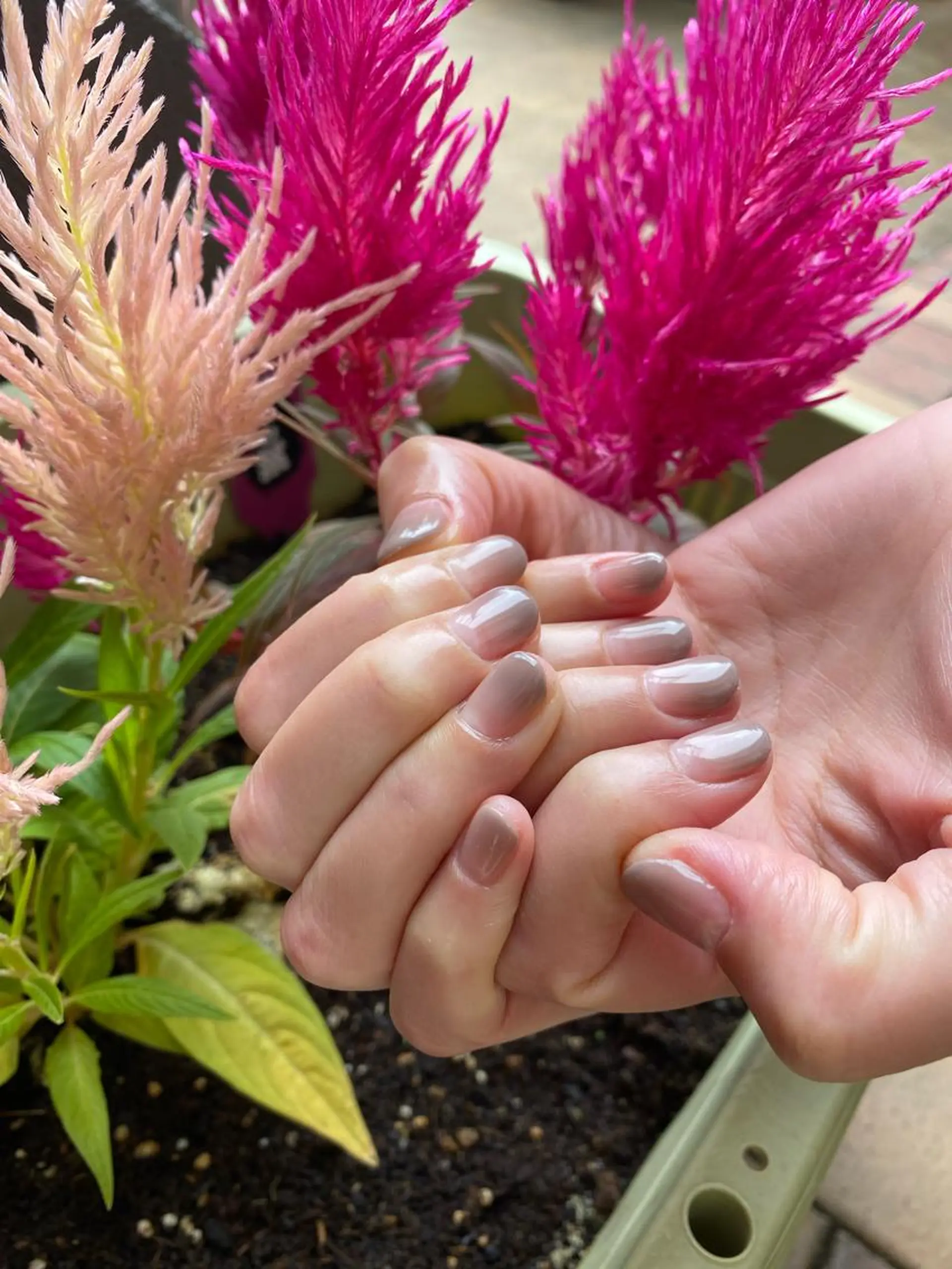 ネイル ハンドネイル フットネイル nailsalon ∞ ﾐｶﾅﾙ ∞のネイルデザイン