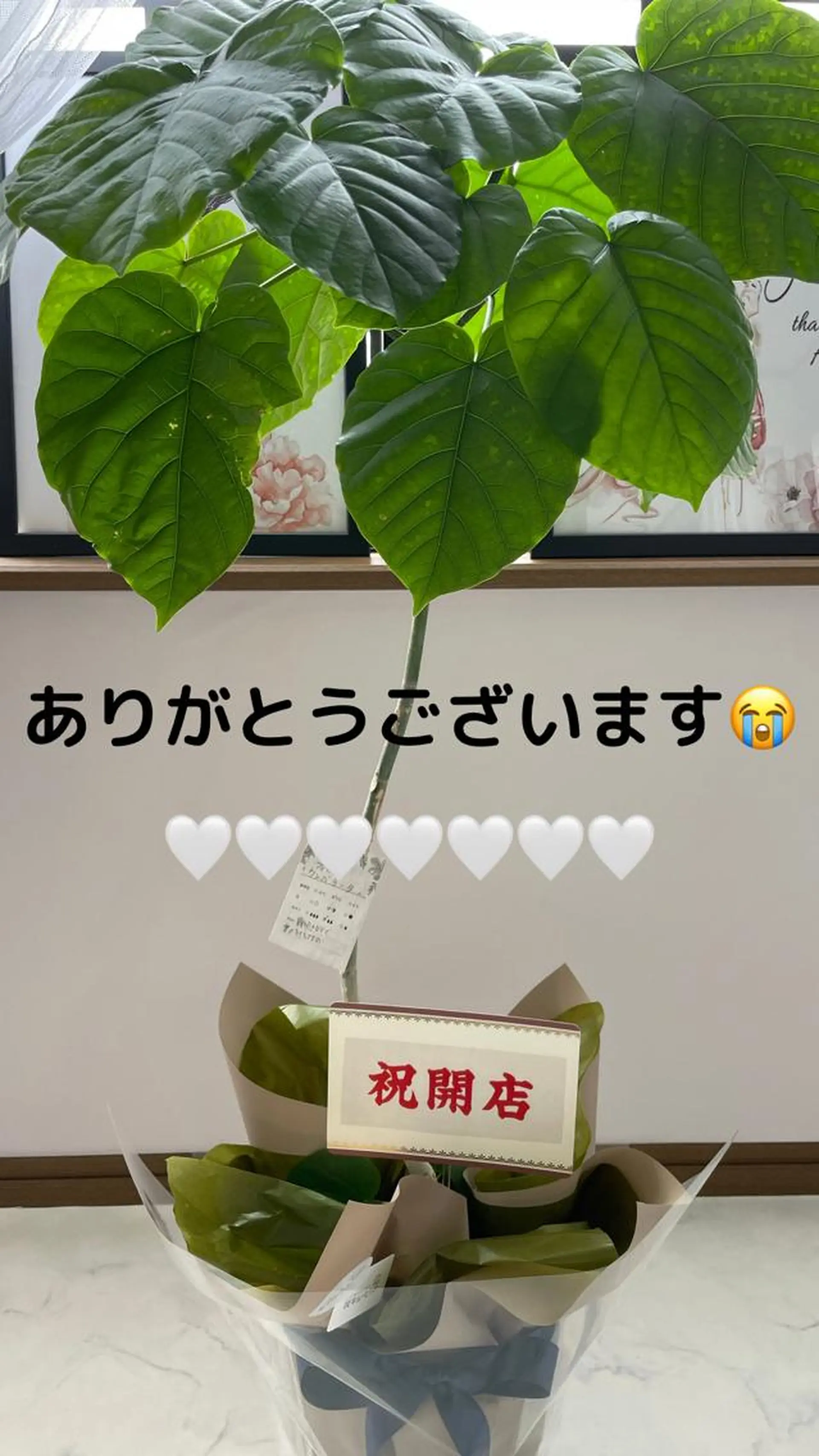 E LINDAのネイルデザイン