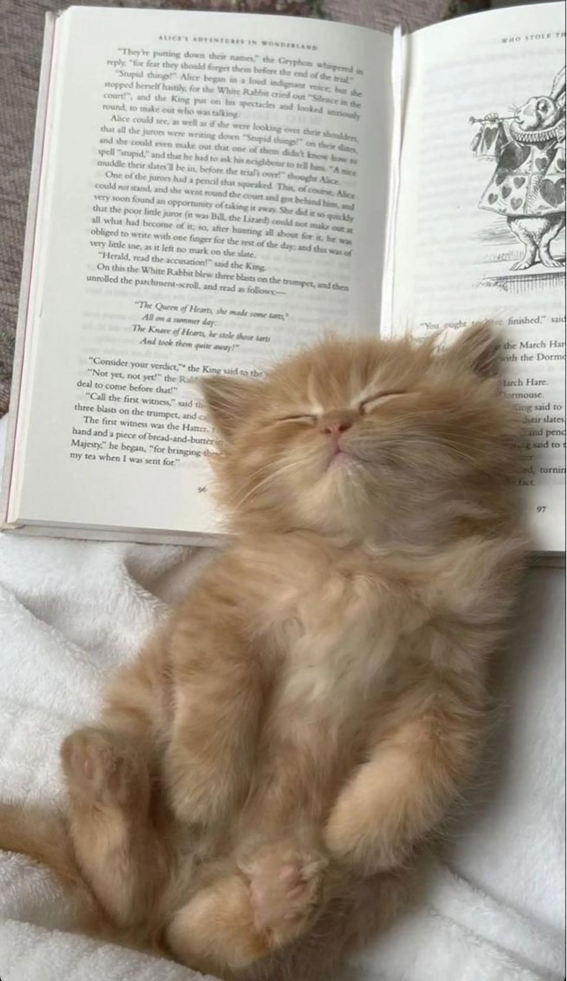 MARINO成田店 misakiのマツエク・マツパデザイン