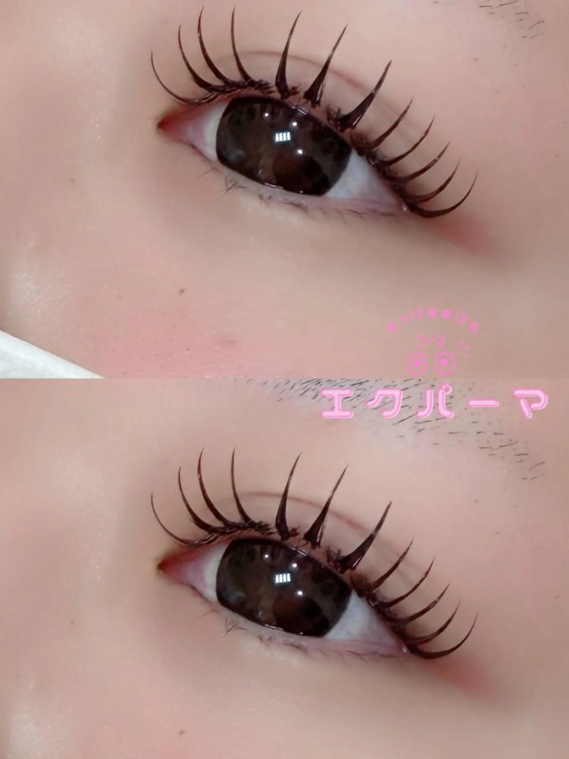 マツエク・マツパ Bunny eyes 武久のマツエク・マツパデザイン