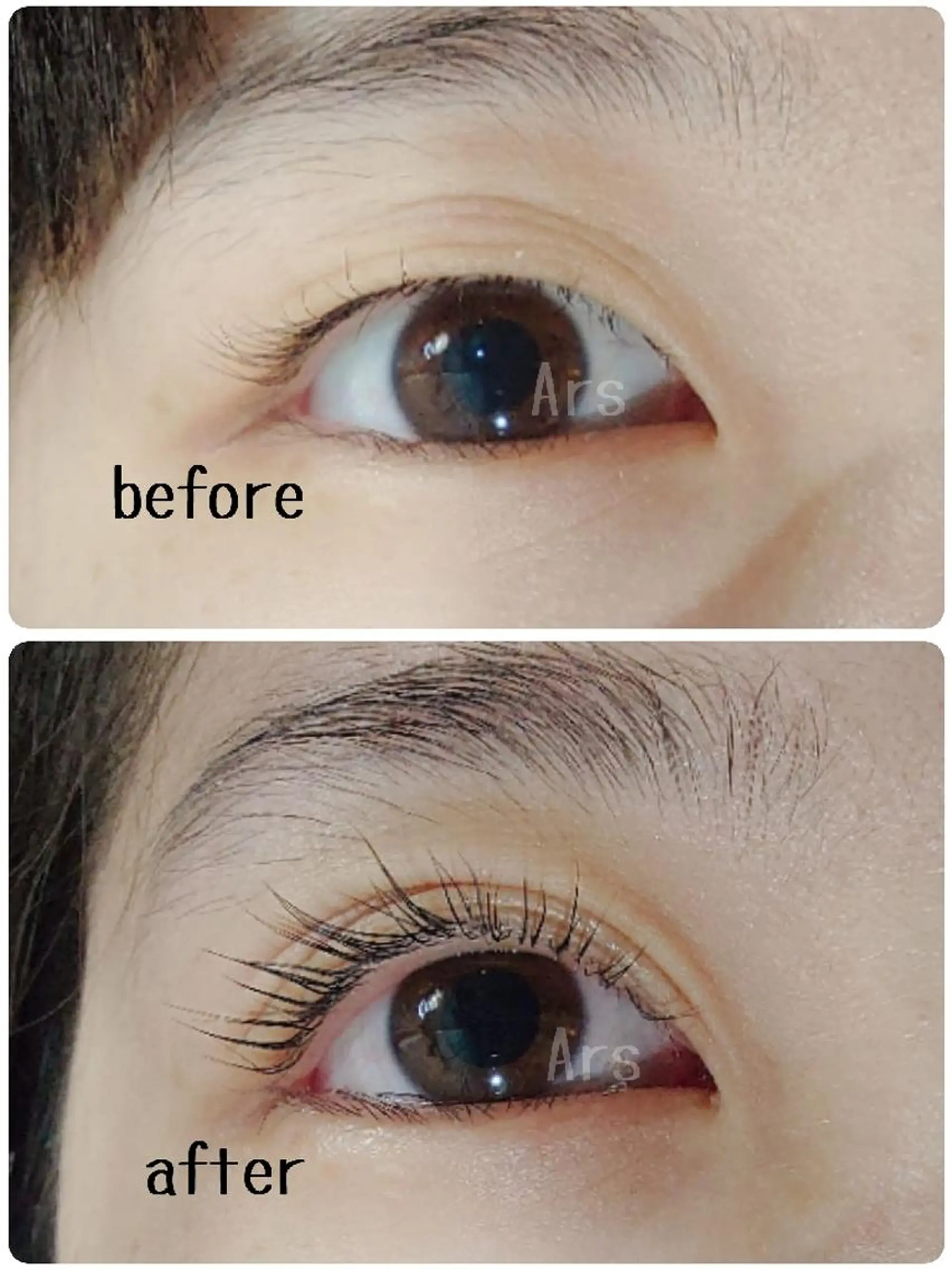 マツエク・マツパ アイリッドアップパーマ Ars      (ｱﾙｽ)のマツエク・マツパデザイン