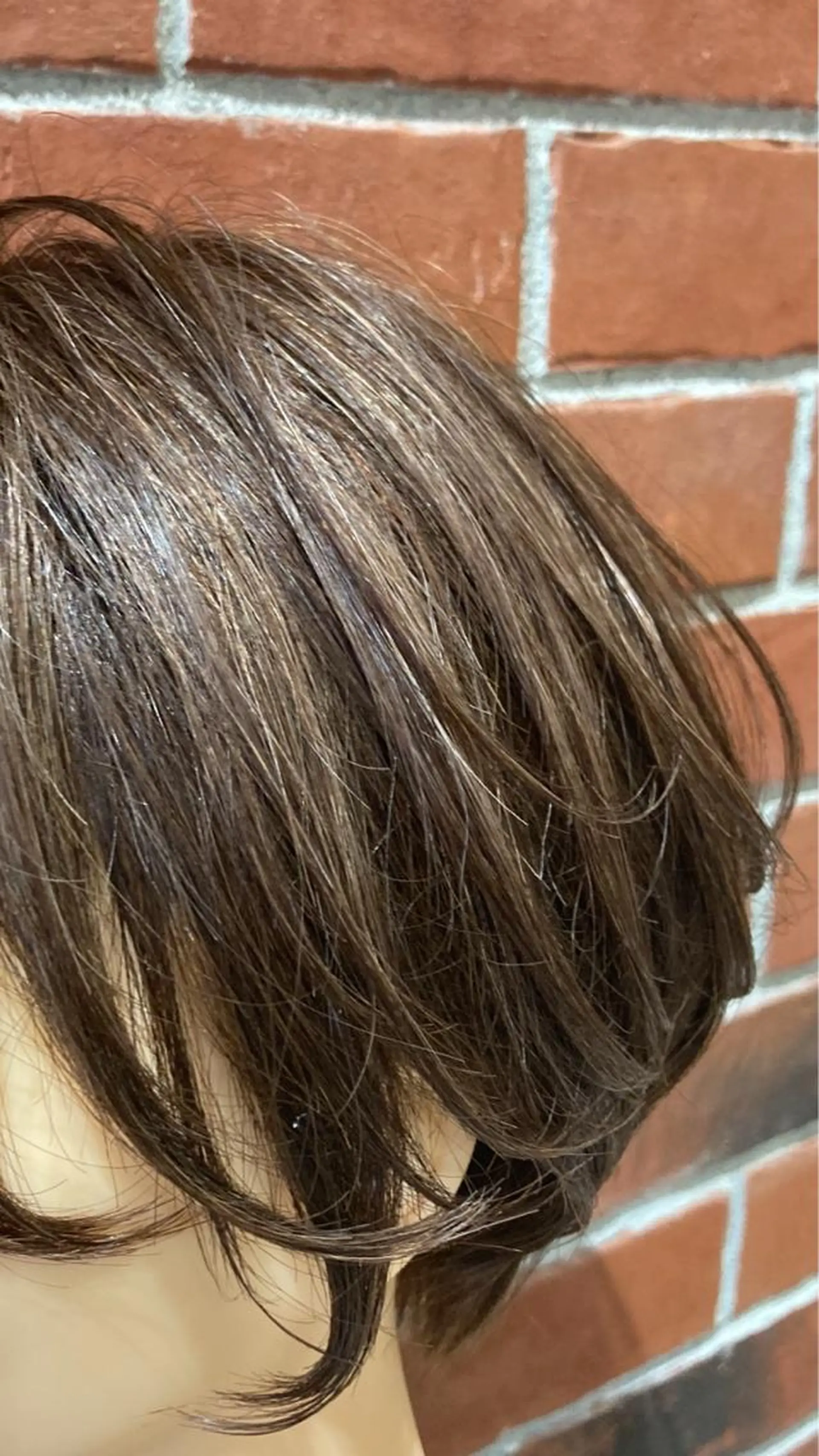 ショート カラー ベージュカラー 透明感カラー フォギーベージュ ハイライトカラー ハイライト カット ヘアカラー 髪質改善/痛ませ ないカラー/西村航大のヘアスタイル