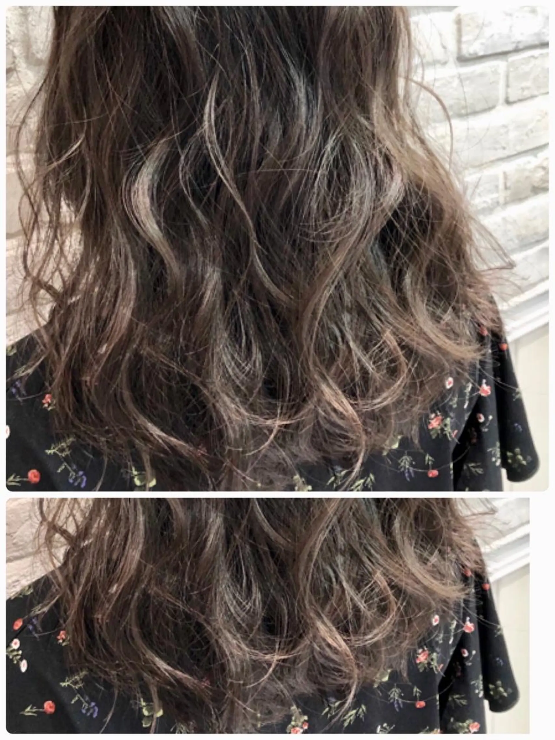 セミロング salowin自由が丘COMS所属・白井 秀太郎のヘアスタイル