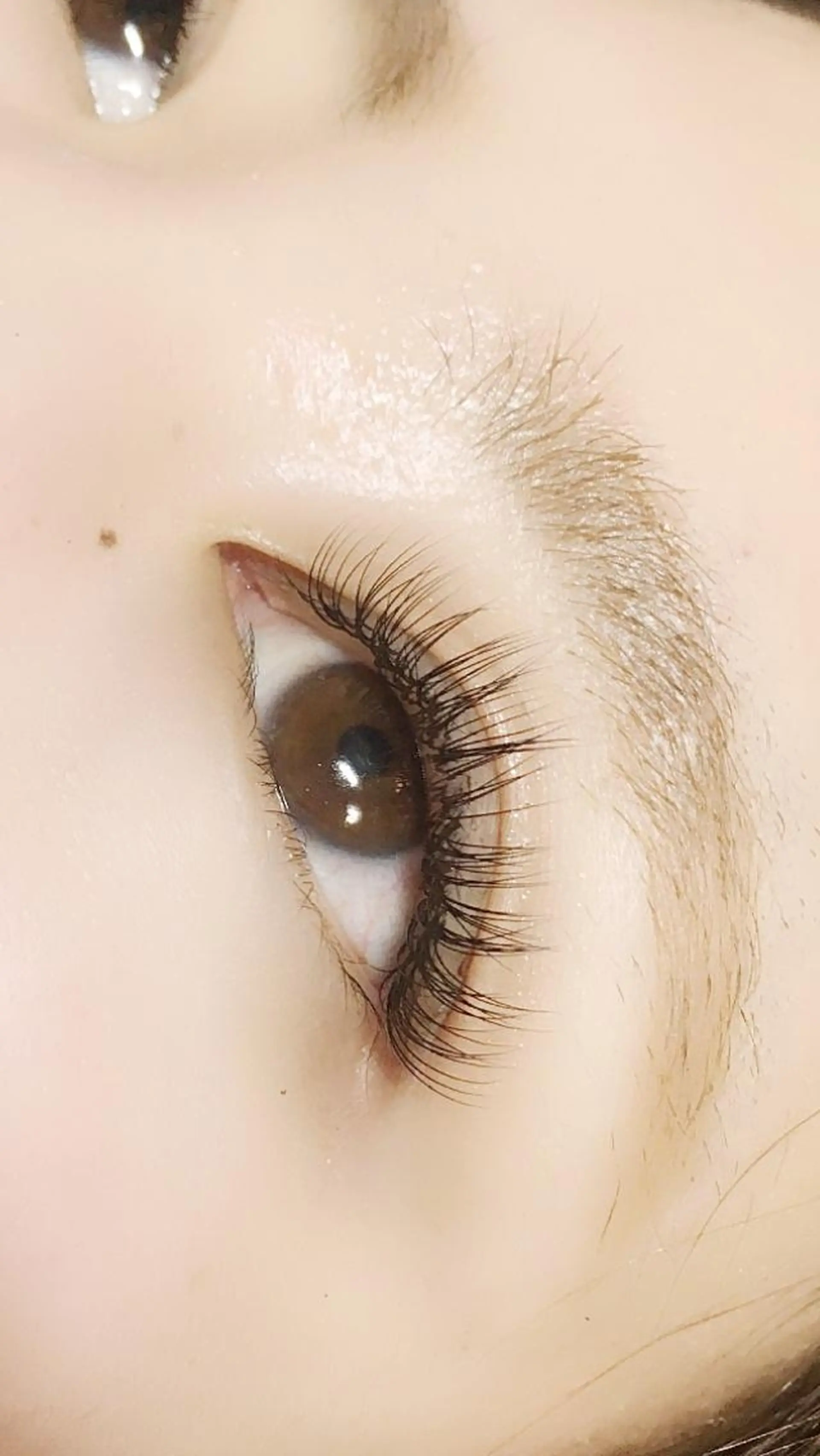 マツエク・マツパ まつげと眉毛の専門店 MeriSPAのマツエク・マツパデザイン