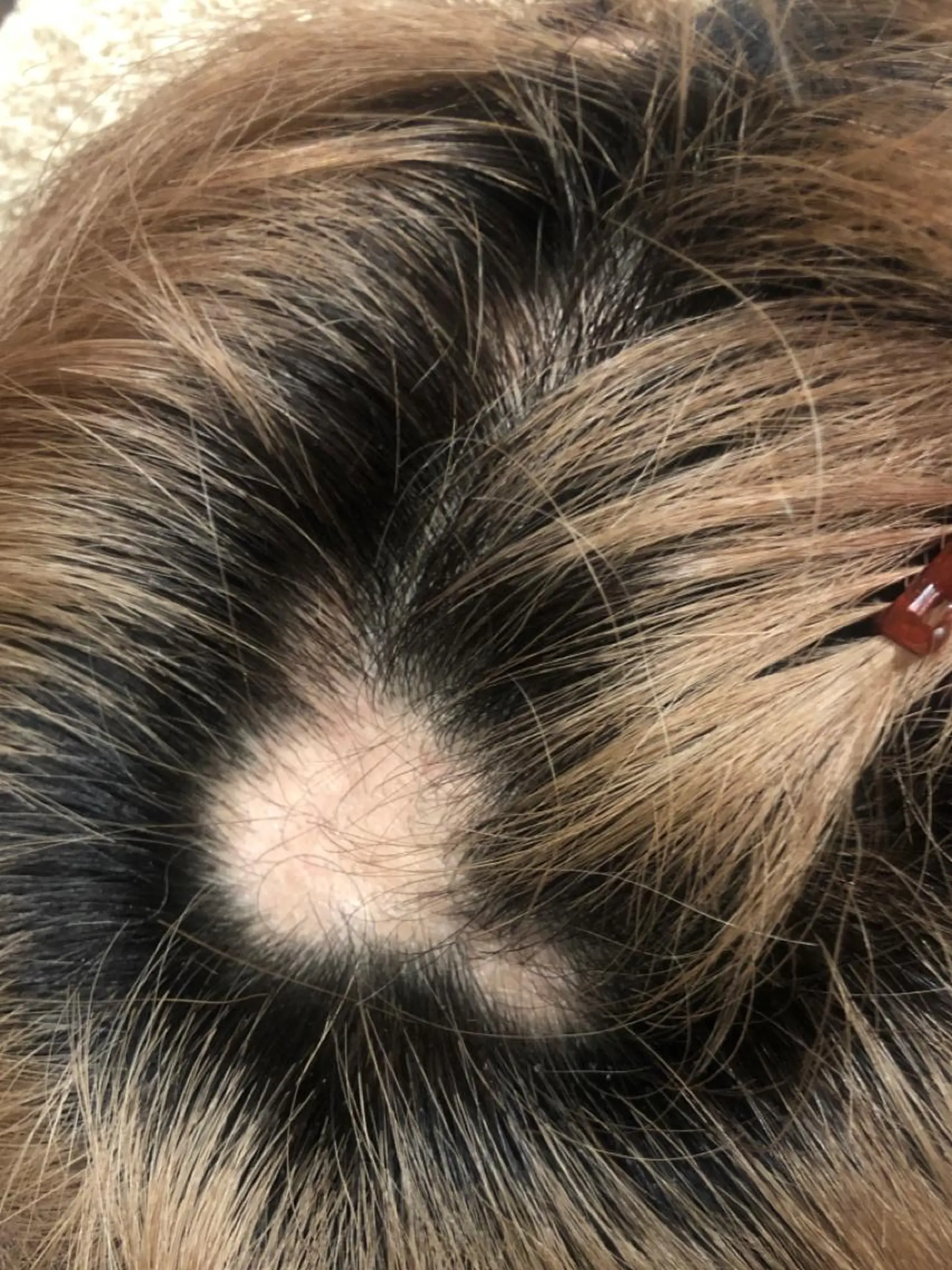 その他 セントラル鍼灸院 Re:laxyのヘアスタイル