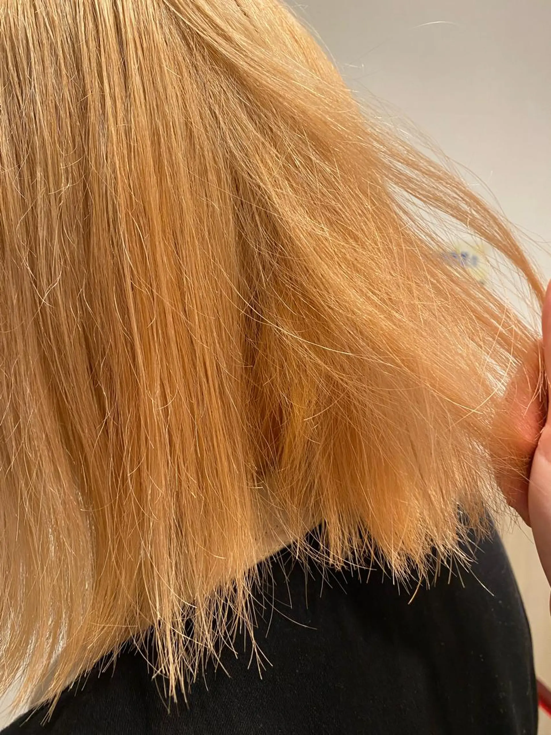 カラー ブリーチ オレンジ ｟羽エクステ｠ スズキのヘアスタイル