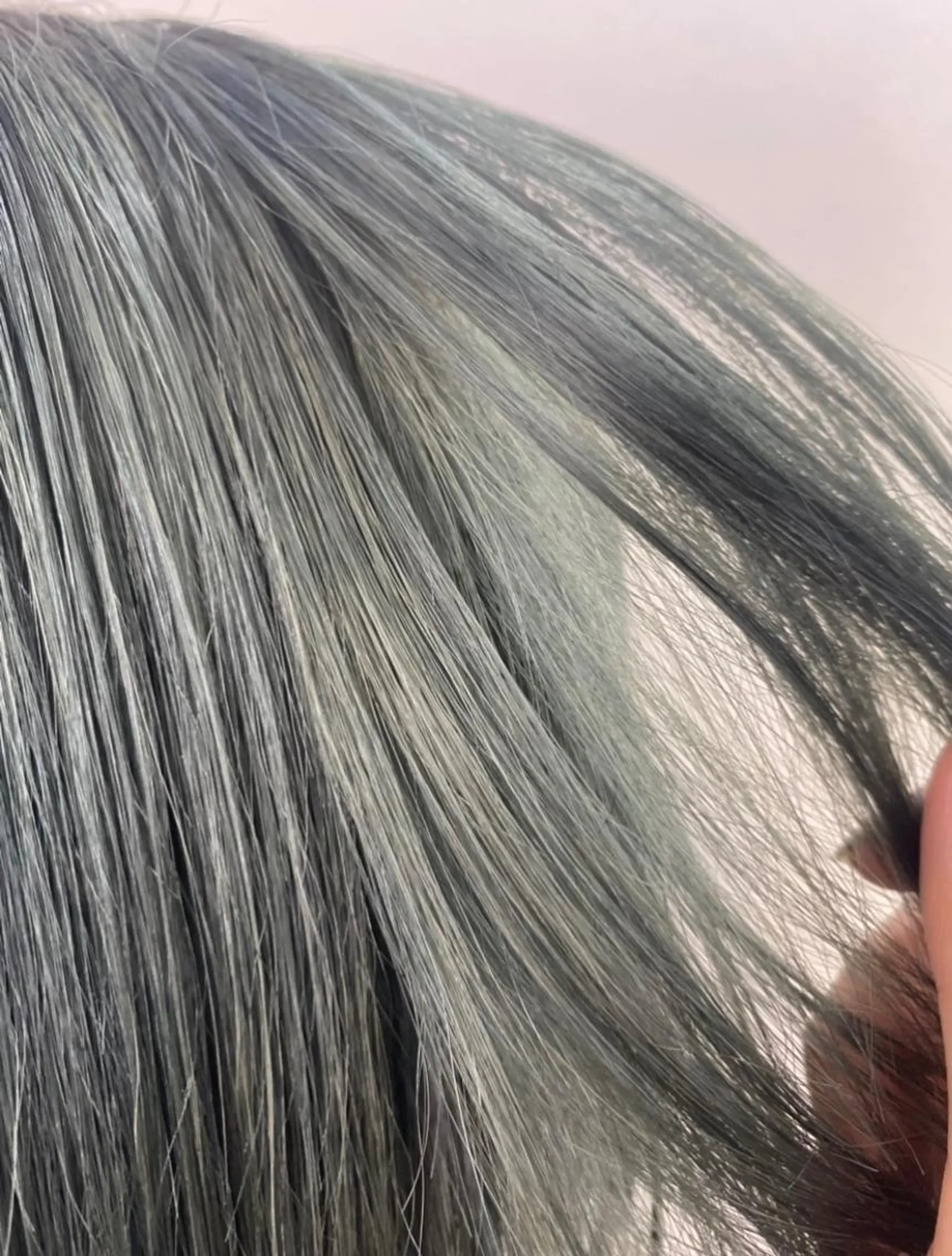 ショート カラー MANAMI 🥀ウルフカットのヘアスタイル