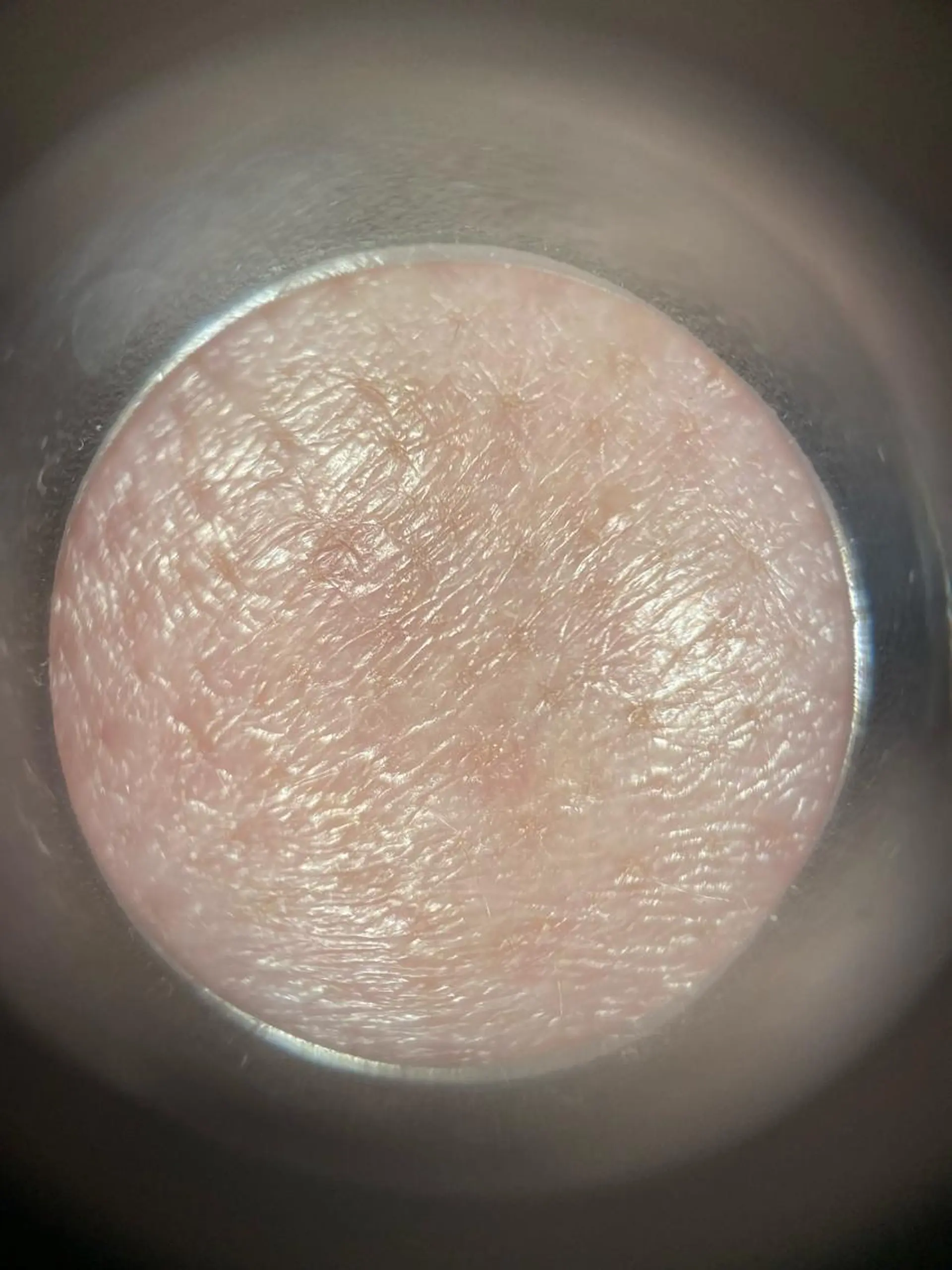 セミロング ネイル マツエク・マツパ アイブロウ 小倉 麻由のエステ・リラクイメージ