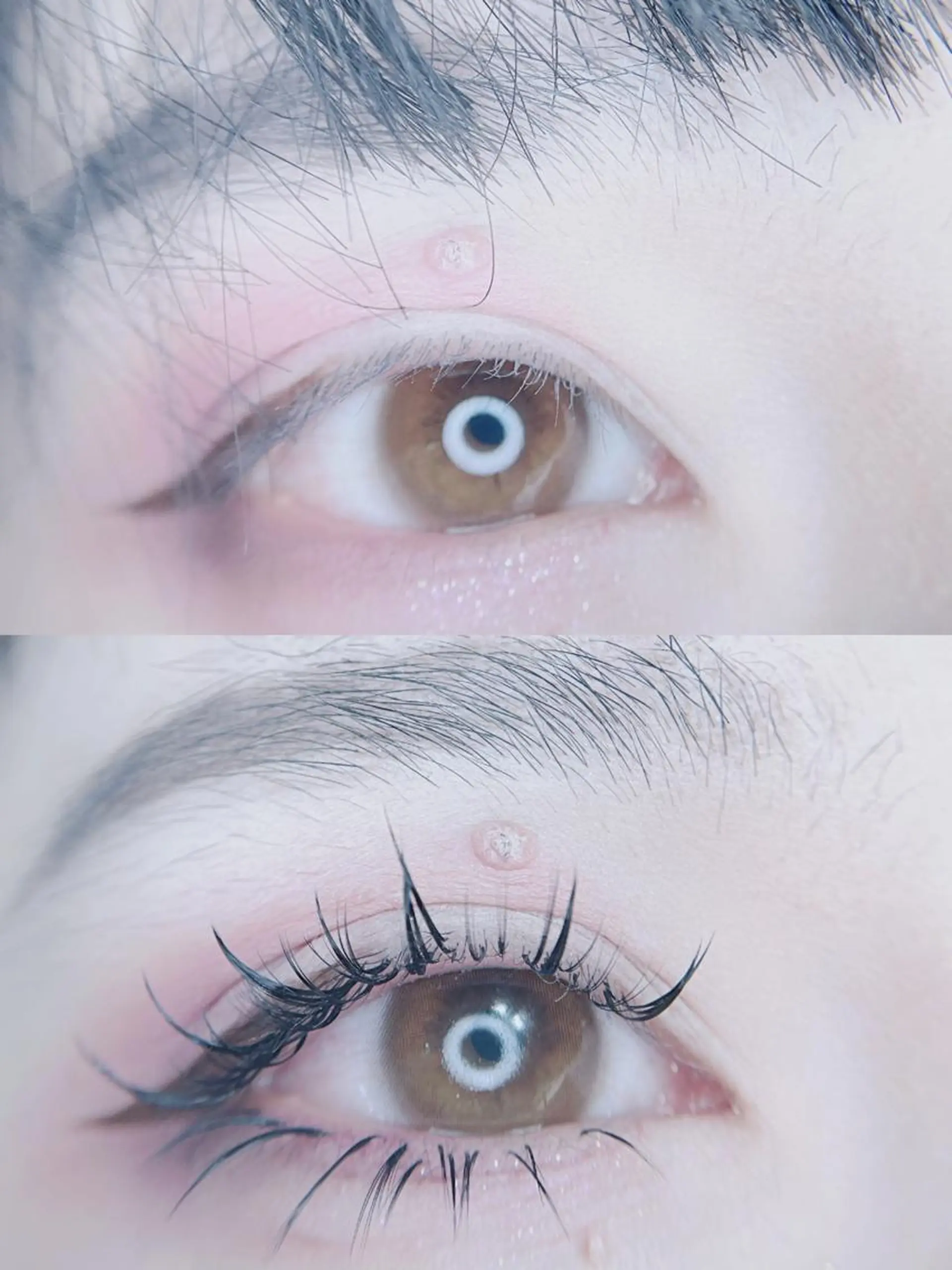 マツエク・マツパ foisalon 大久保店のマツエク・マツパデザイン