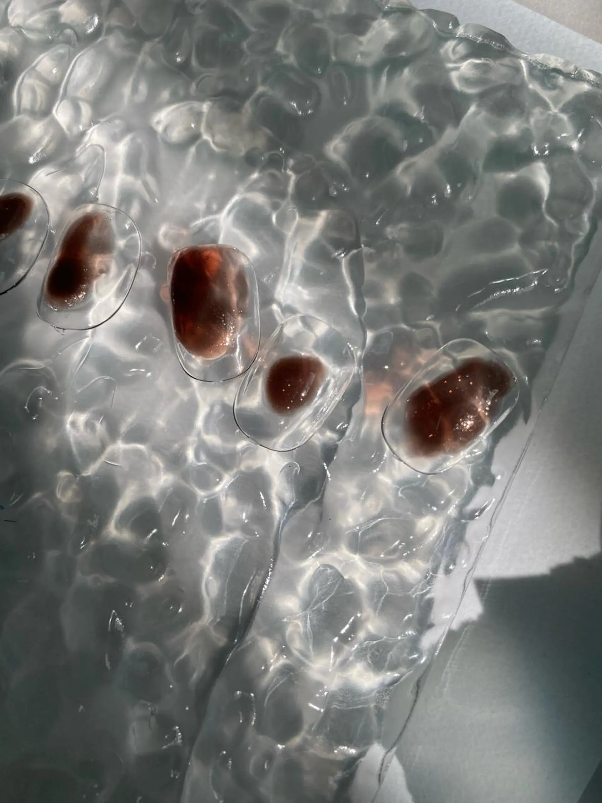 ネイル シンプルネイル ハンドネイル 草加ニュアンスネイル 🌚hersのネイルデザイン