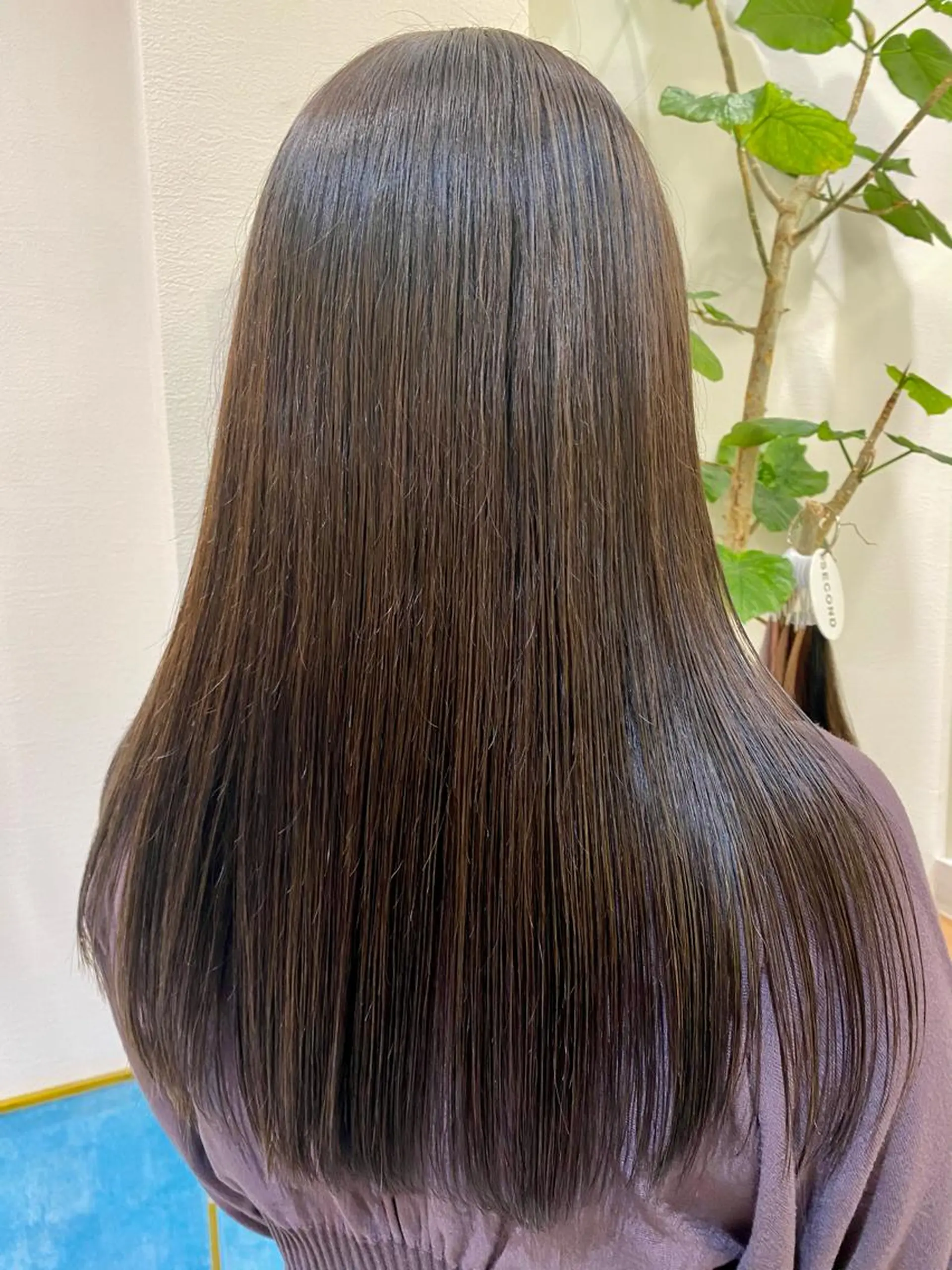 ロング カット ヘアカラー トリートメント 顔周り/ブリーチなし /縮毛矯正🫧伊勢のヘアスタイル