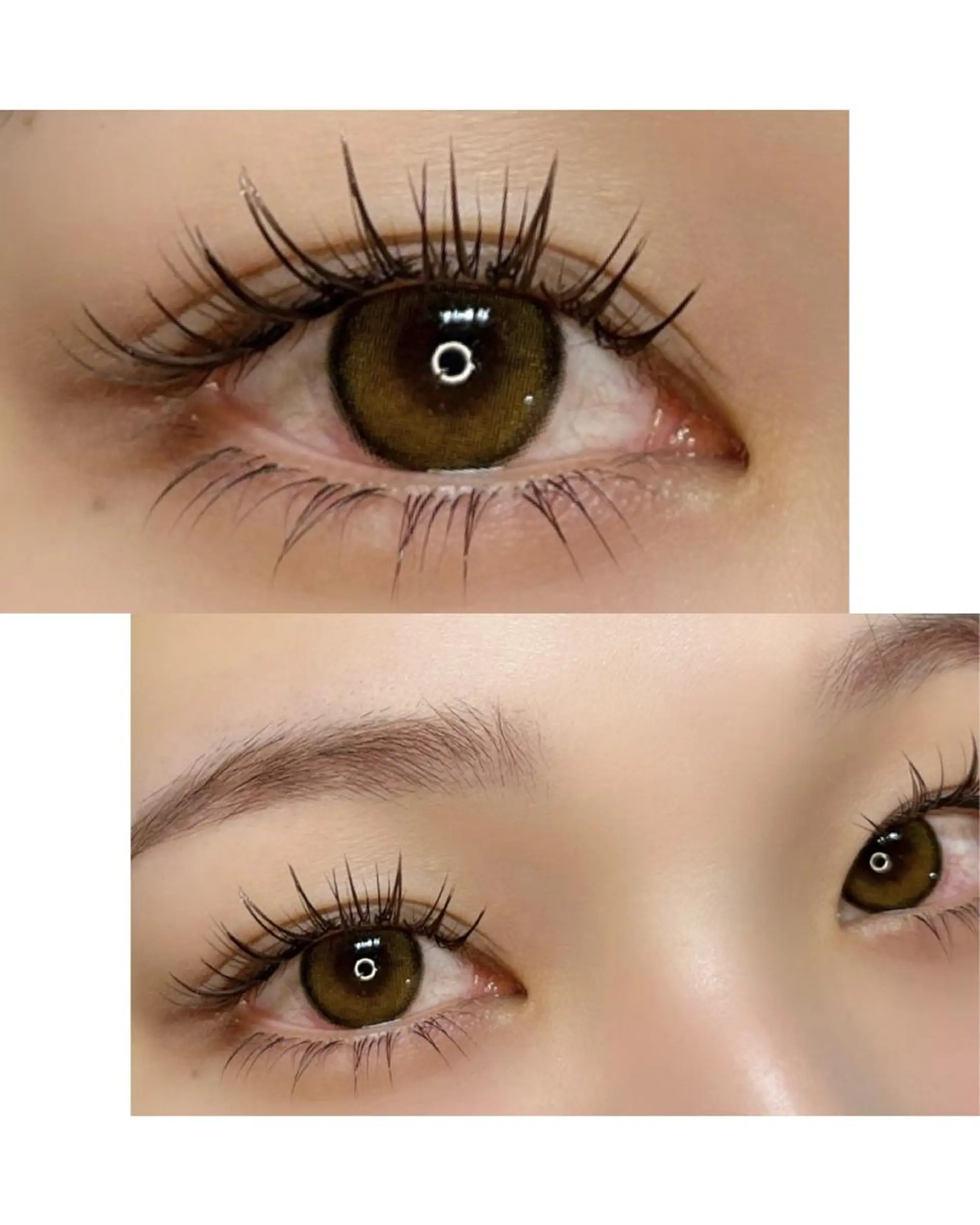 ãããšã¯ã»ããã ãããšã¯ ððŠð® .ã®ãããšã¯ã»ããããã¶ã€ã³