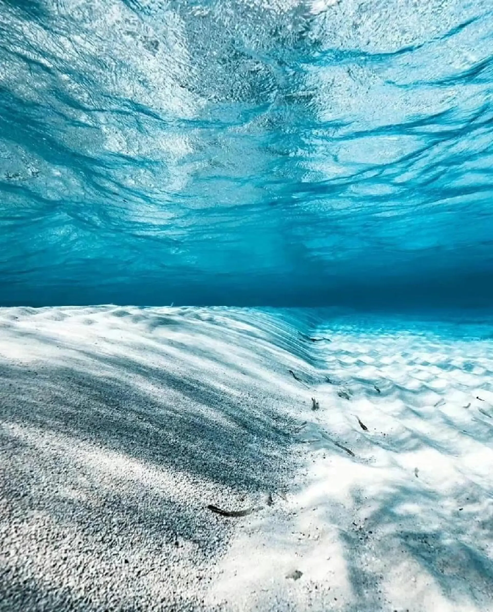 aliaハーブ水光店 エステティシャン募集のエステ・リラクイメージ