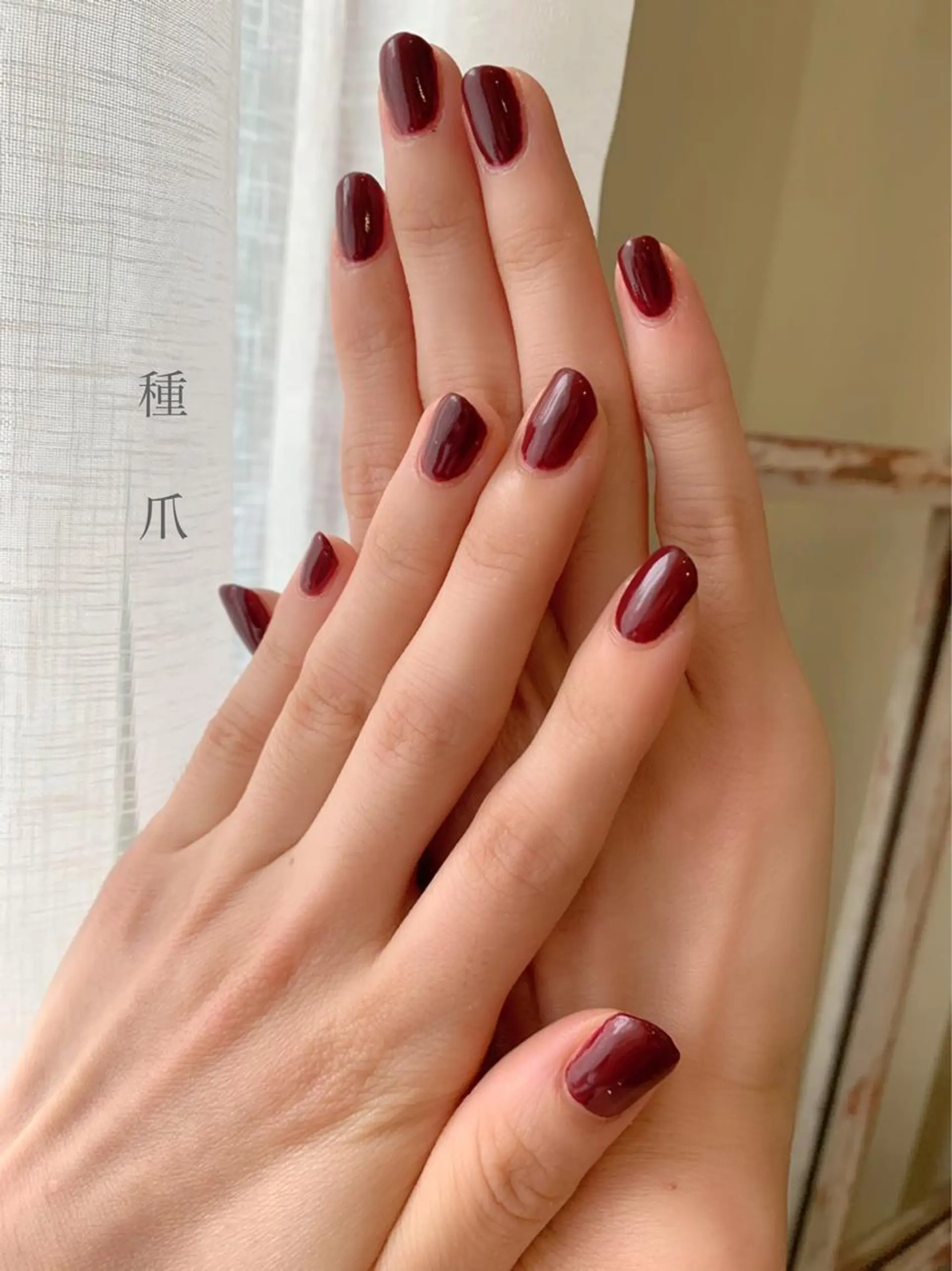 ネイル ボルドー ワンカラーネイル 種爪 たねつめのネイルデザイン