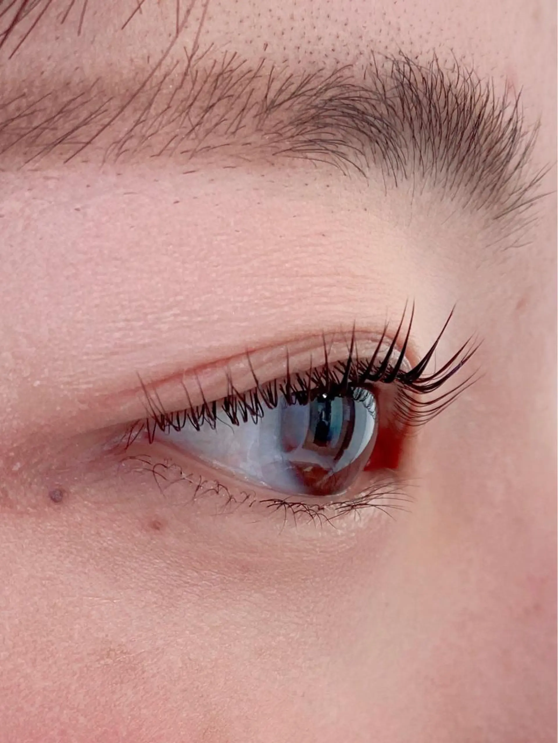 マツエク・マツパ マツパ 艶髪🌿美髪 大塚礼乃【西荻窪】のヘアスタイル