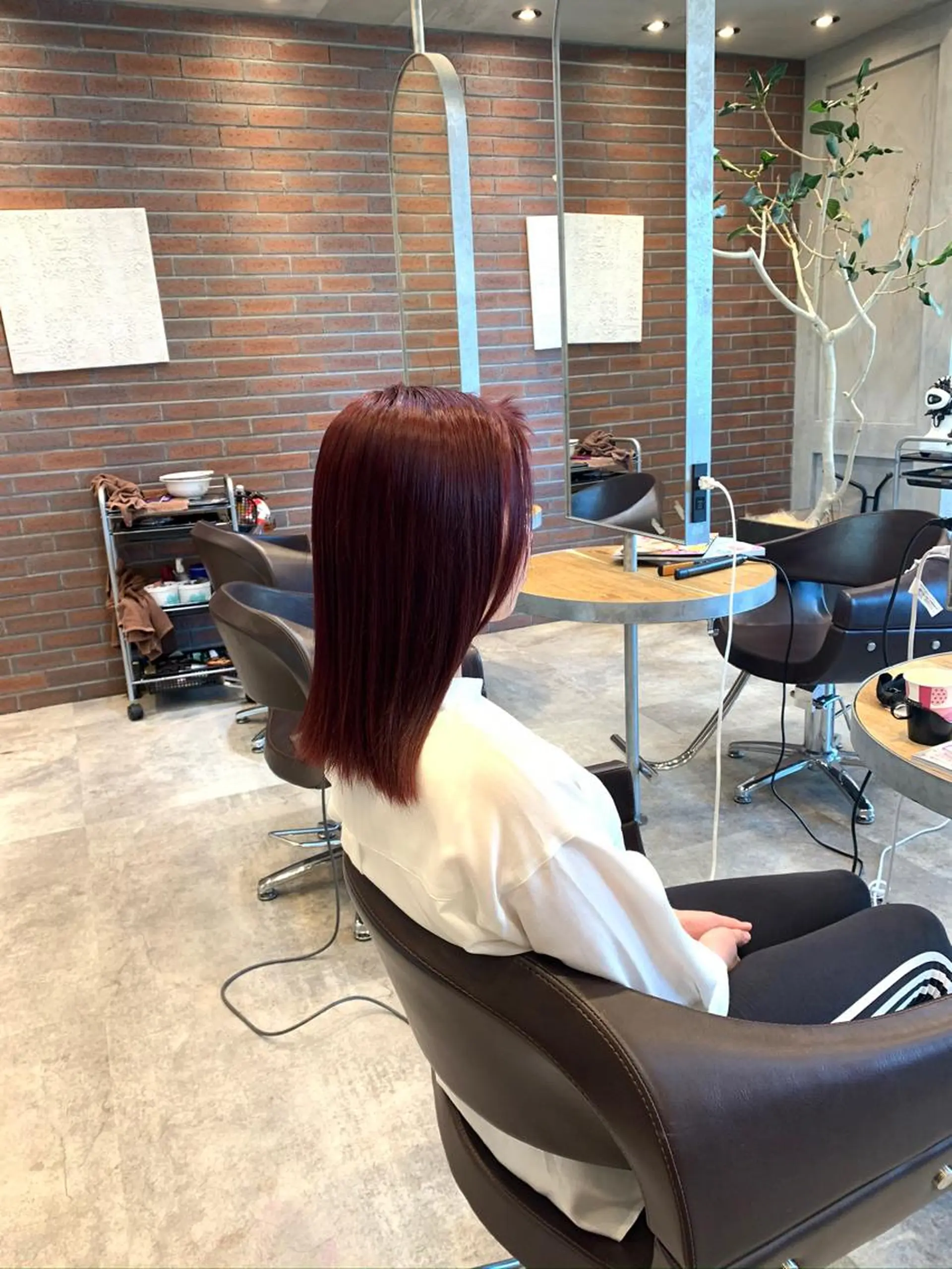 セミロング カラー 🫧髪質改善 講師🫧🍎幹細胞のヘアスタイル