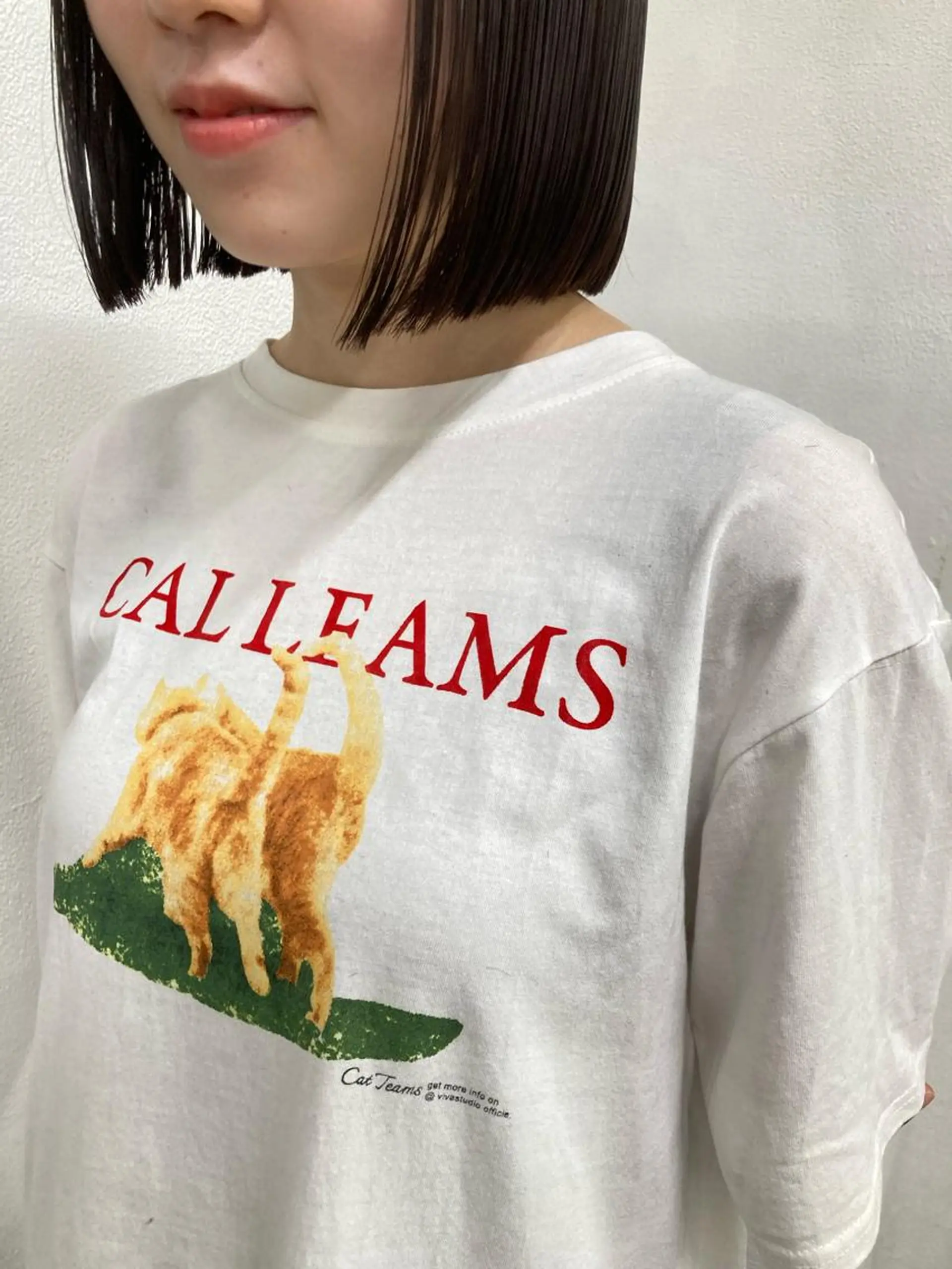 ショート ウルフレイヤー エクステ/kokiのヘアスタイル