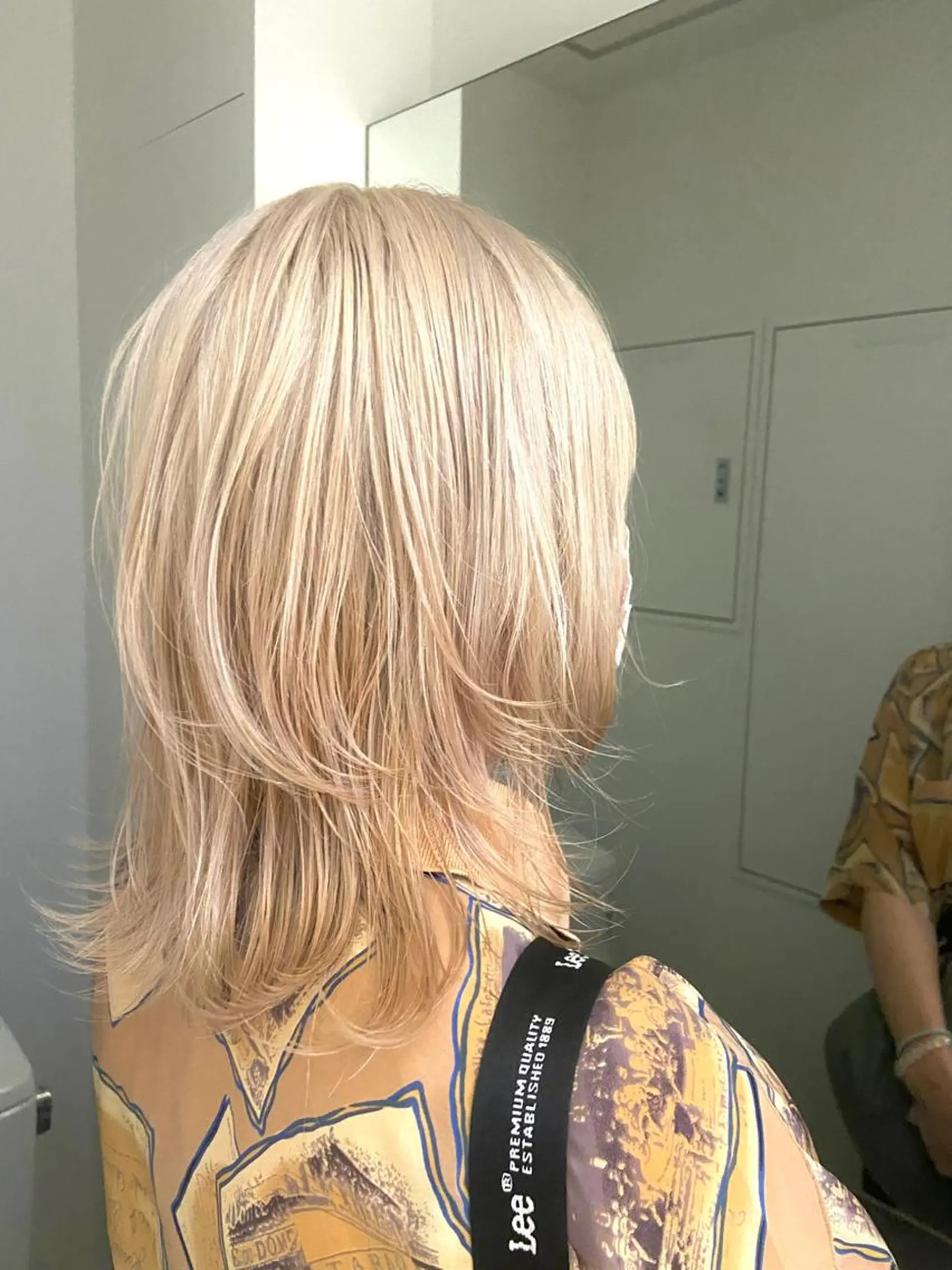 セミロング カラー ショート/ウルフ ハイトーン/カイセイのヘアスタイル