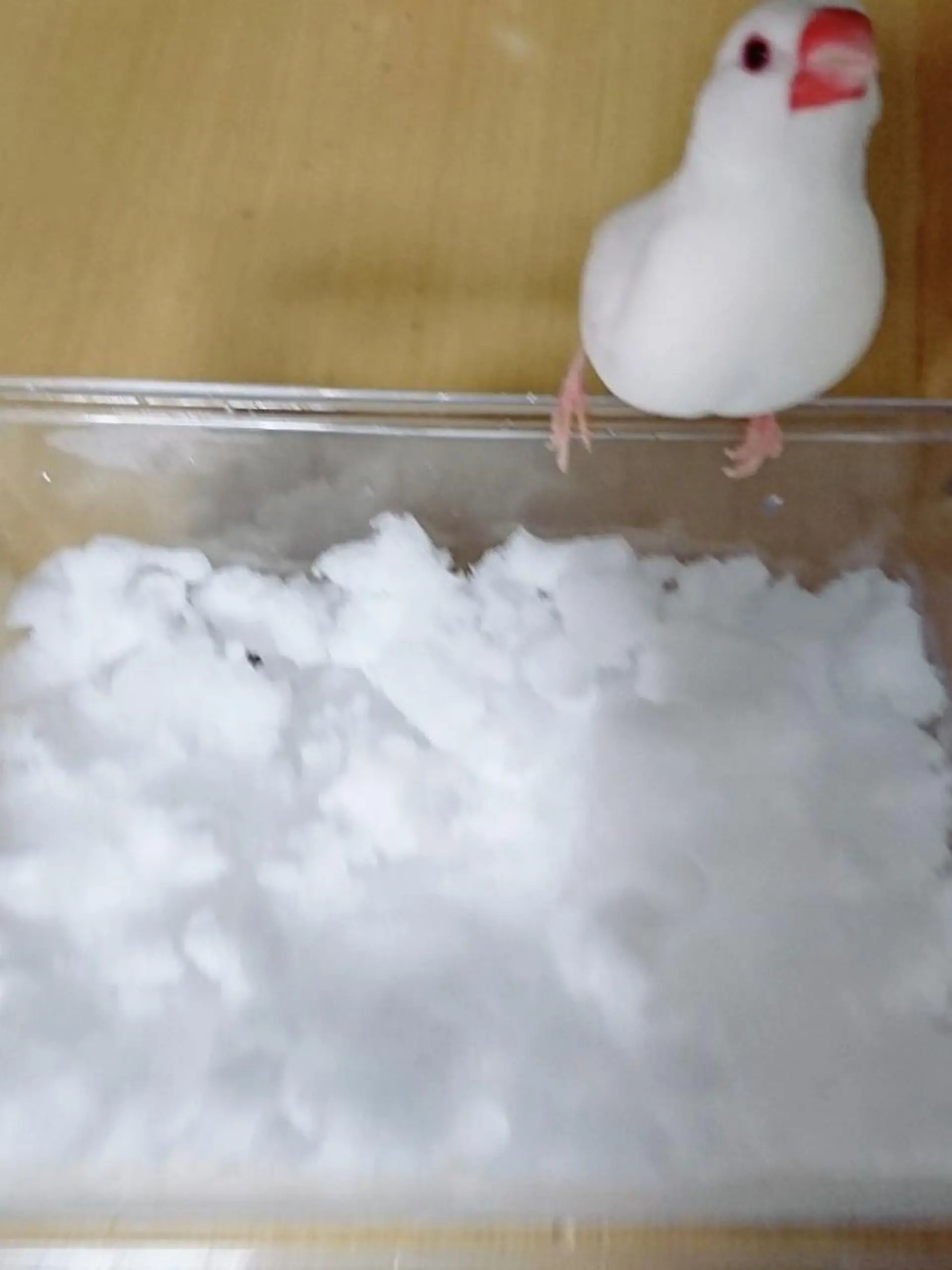 g*rossa高橋 くみこのエステ・リラクイメージ