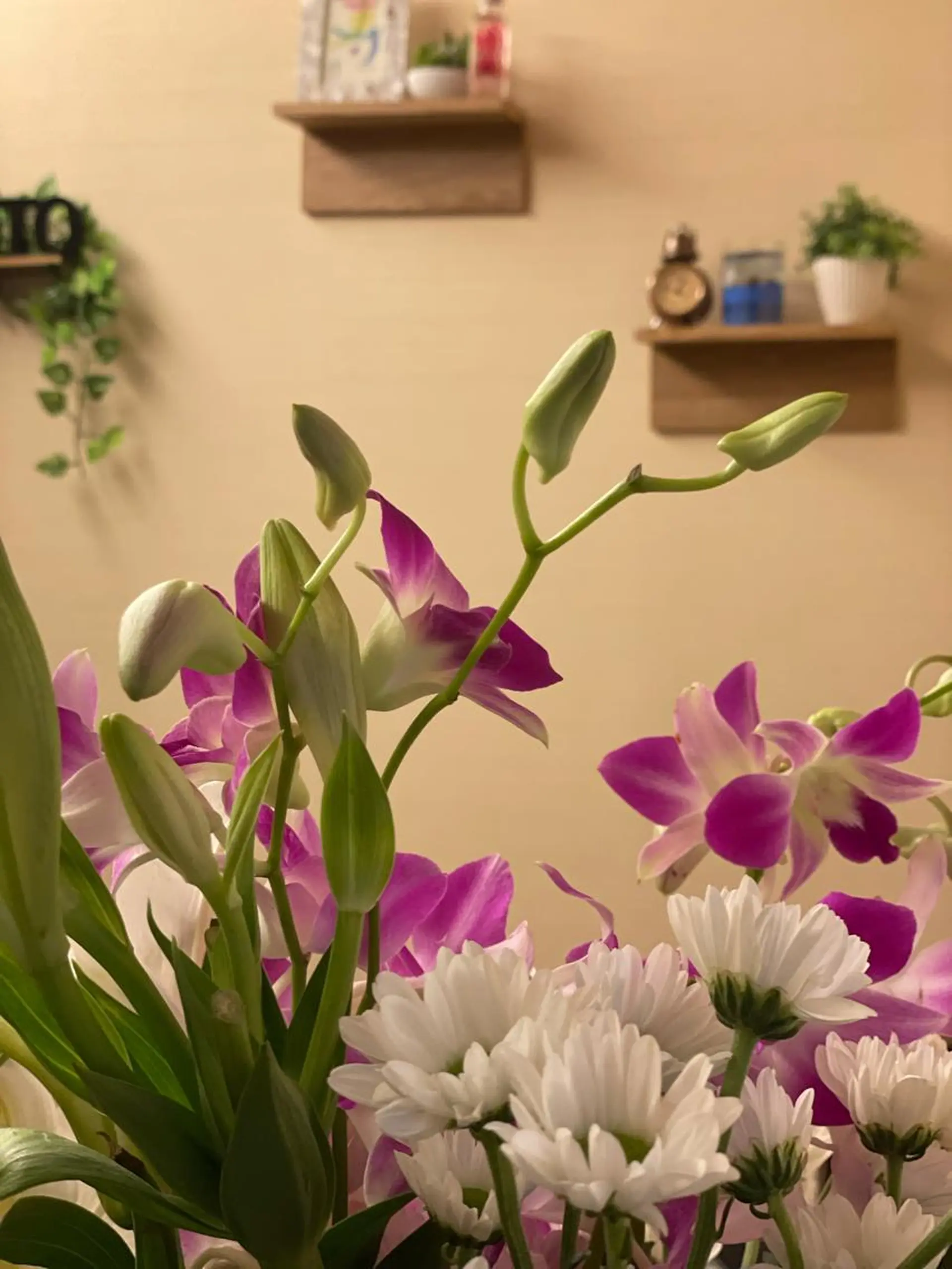 姿勢・体質改善・自律神経ケアサロンCOTO所属・姿勢・体質・自律神経 ケアサロンCOTOのエステ・リラクイメージ