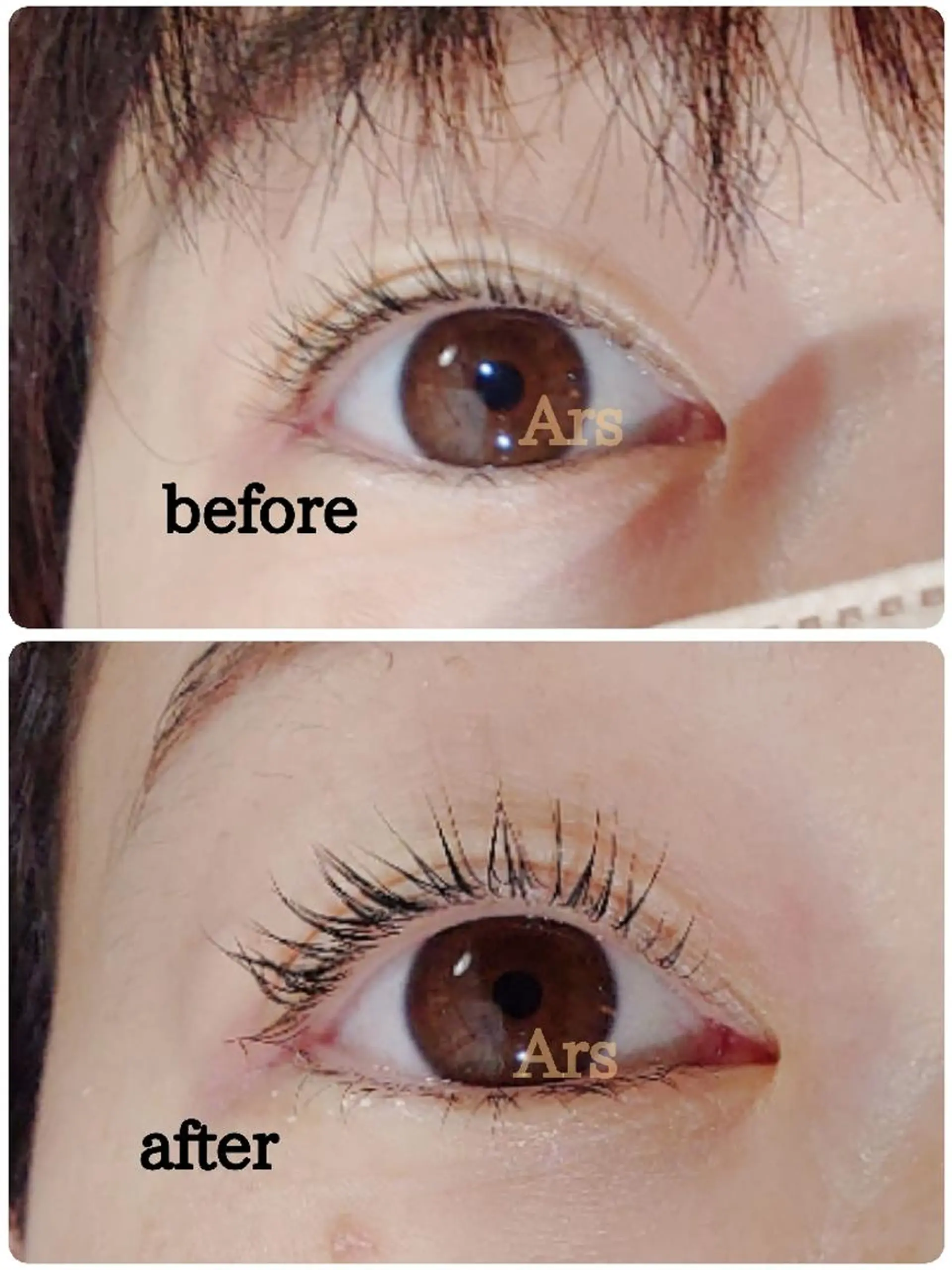 マツエク・マツパ アイリッドアップパーマ Ars (アルス)のマツエク・マツパデザイン