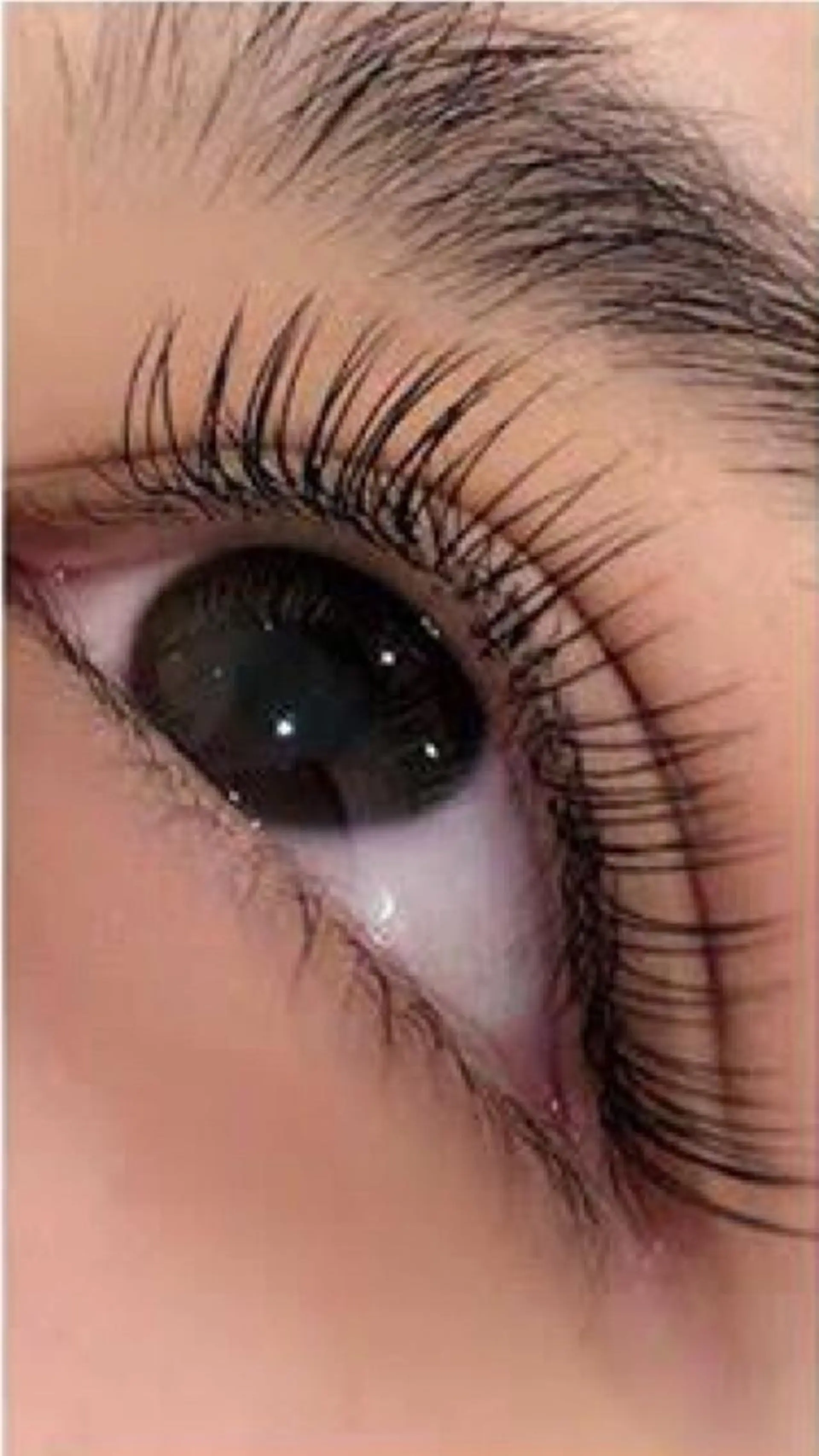 マツエク・マツパ 💕丸島 夏名🐰🍀のマツエク・マツパデザイン