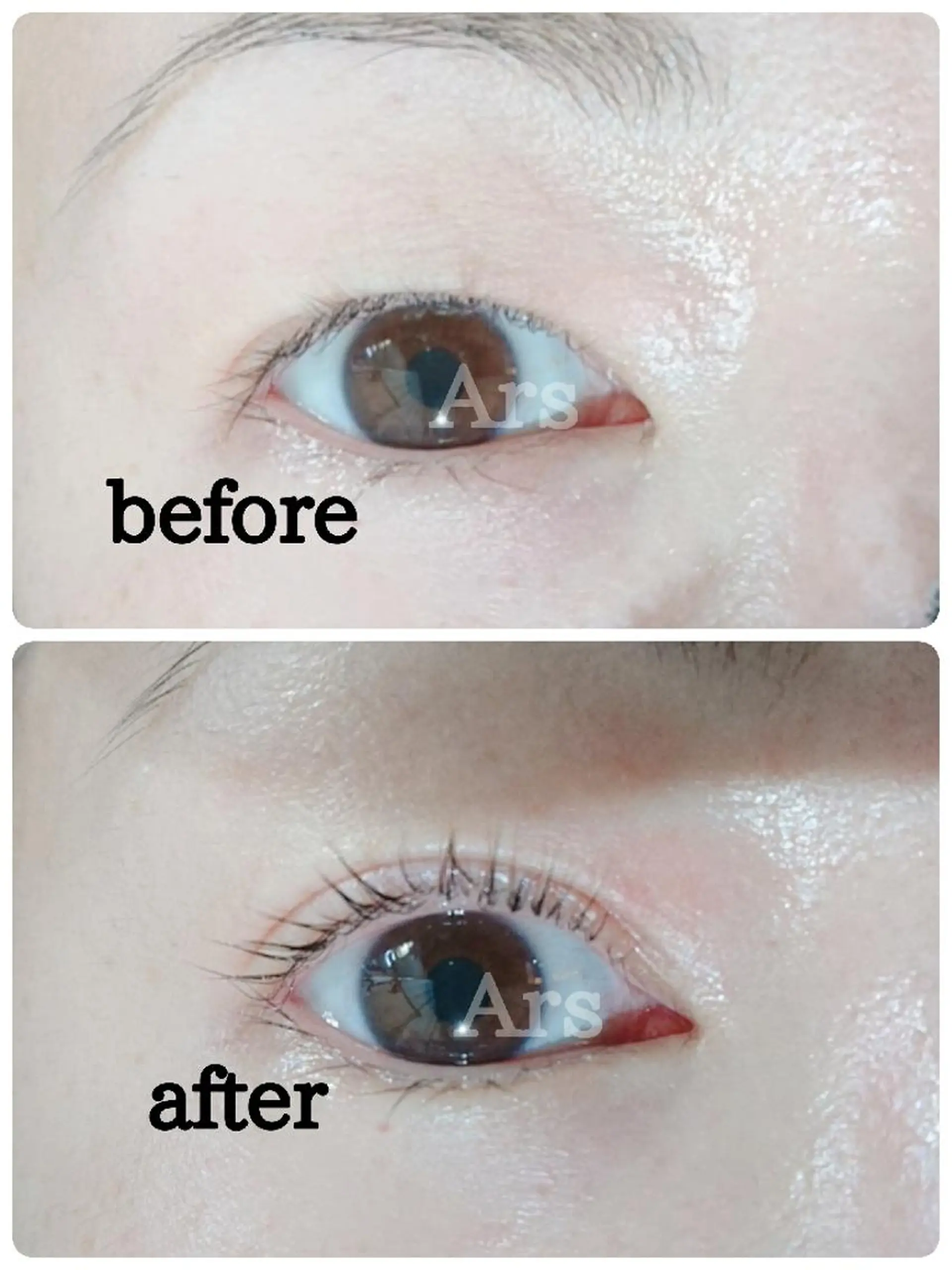 マツエク・マツパ アイリッドアップパーマ Ars      (ｱﾙｽ)のマツエク・マツパデザイン